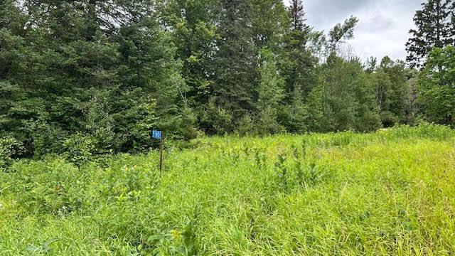 Homes for sale in Squaw Lake, MN | 51801 Townhall Road, Squaw Lake, MN 56681 | MLS# 6575787