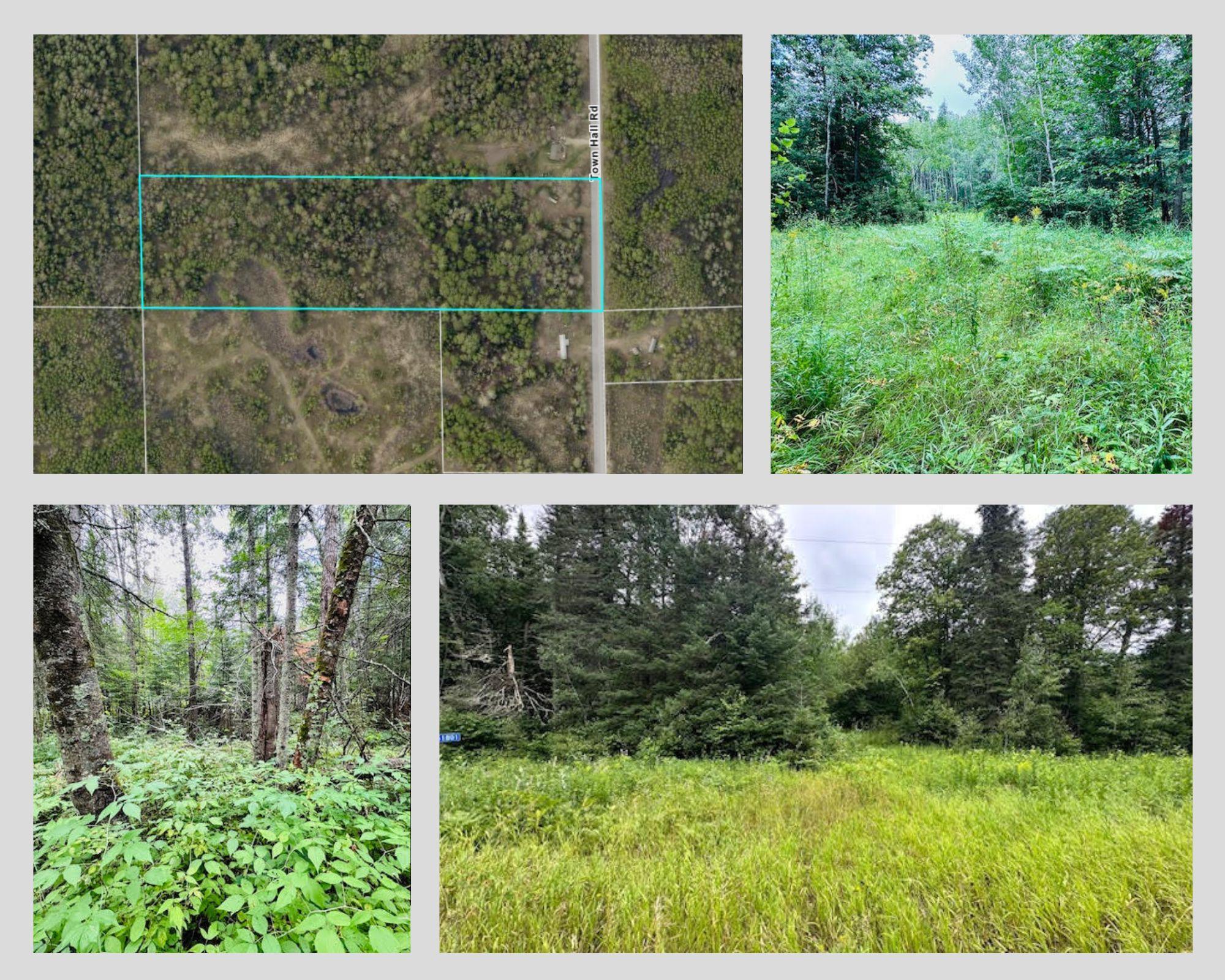 Homes for sale in Squaw Lake, MN | 51801 Townhall Road, Squaw Lake, MN 56681 | MLS# 6575787