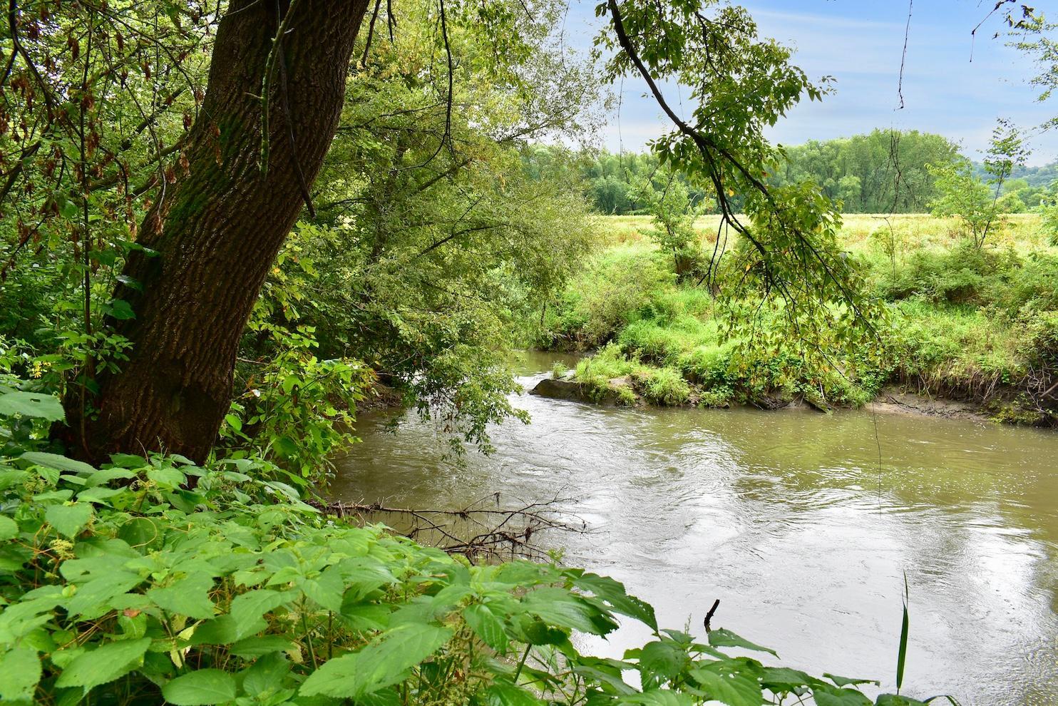 Homes for sale in Houston, MN | 17185 Perkins Valley Dr, Houston, MN 55943 | MLS# 6586219