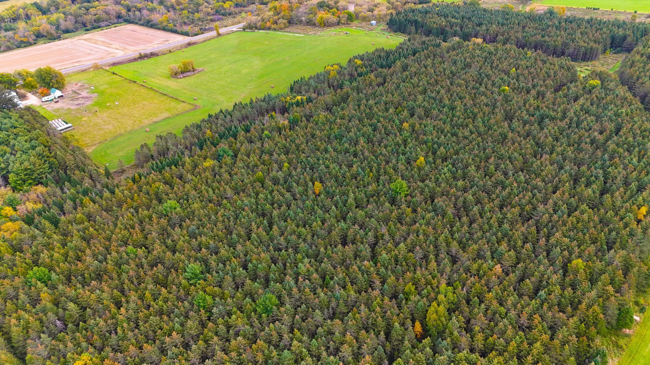 Homes for sale in Emerald, WI | 1350 County Road D Lot 4, Emerald, WI 54013 | MLS# 6633438