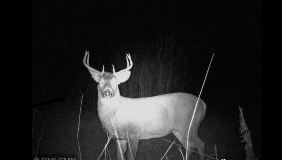 Homes for sale in Akeley, MN | 12031 State 64, Akeley, MN 56433 | MLS# 6634146