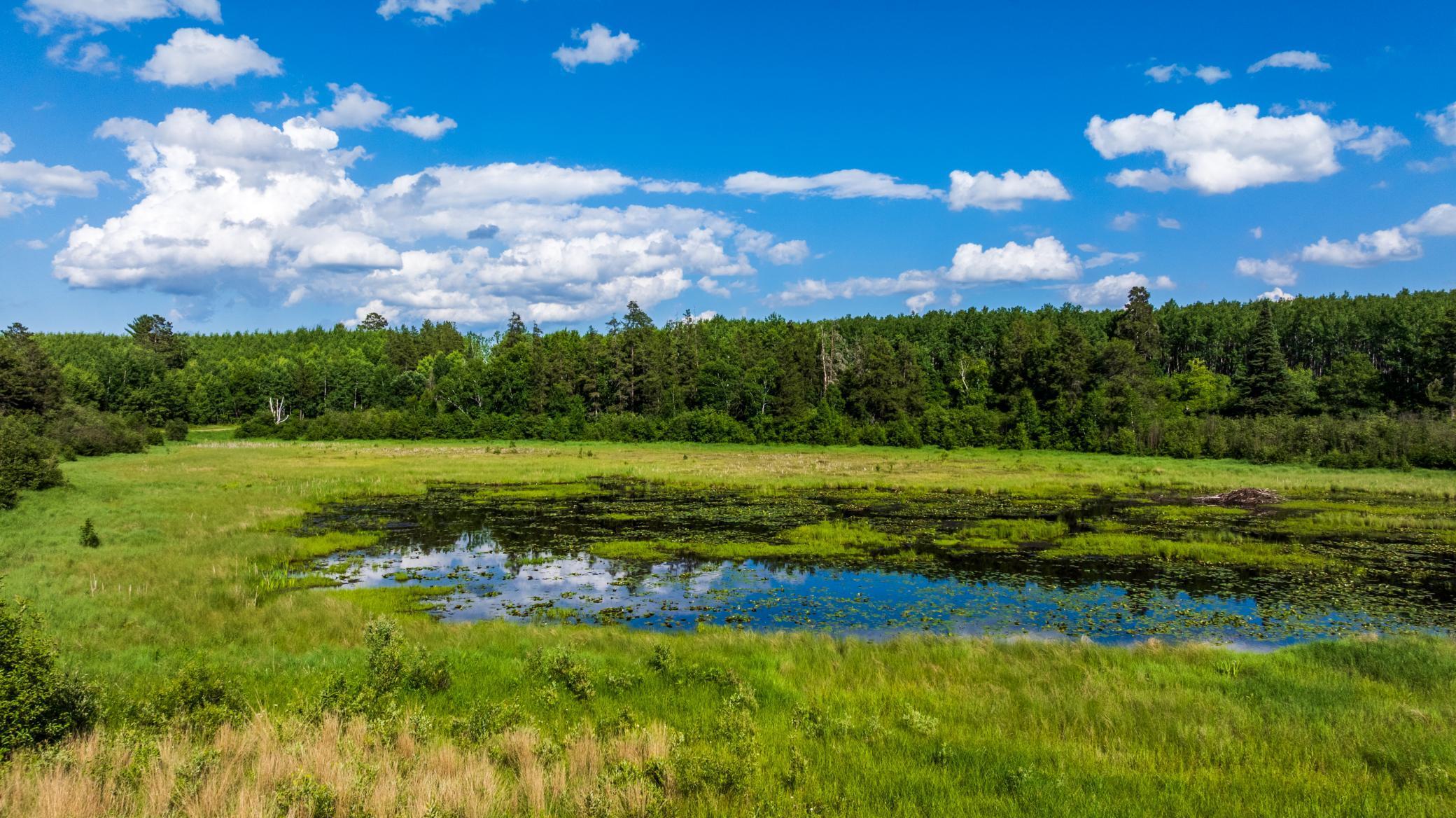 Homes for sale in Akeley, MN | Tbd 240Th St, Akeley, MN 56433 | MLS# 6635665