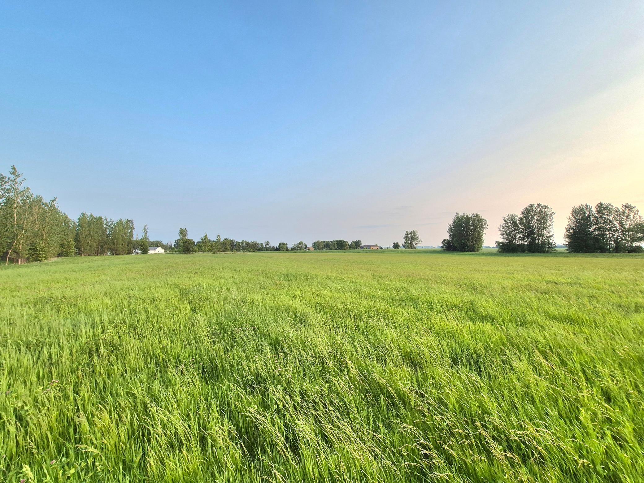 Homes for sale in Arlington, MN | 1Xxx Frenzel Dr, Arlington, MN 55307 | MLS# 6651700