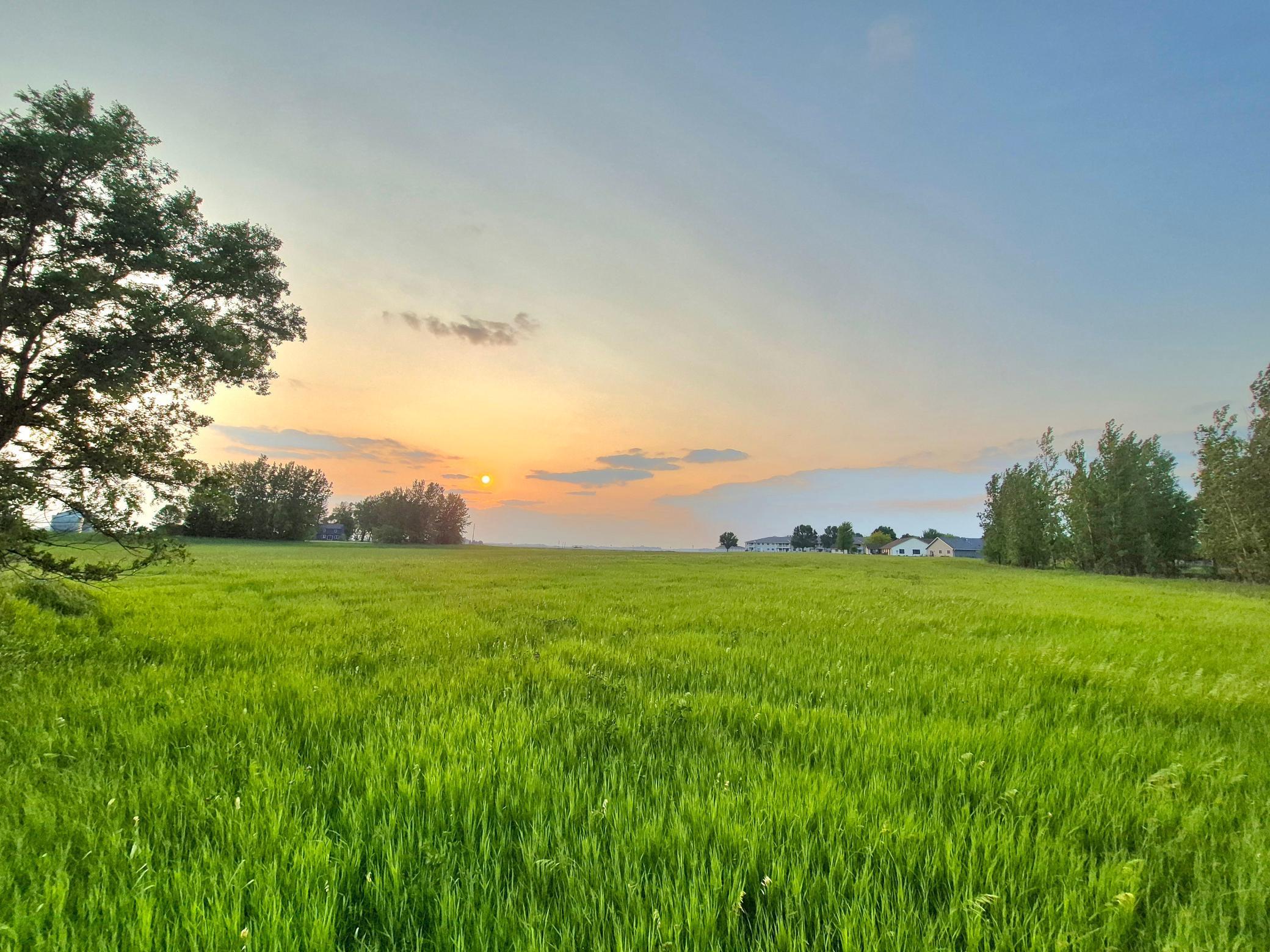 Homes for sale in Arlington, MN | 1xxx Frenzel Dr, Arlington, MN 55307 | MLS# 6651700