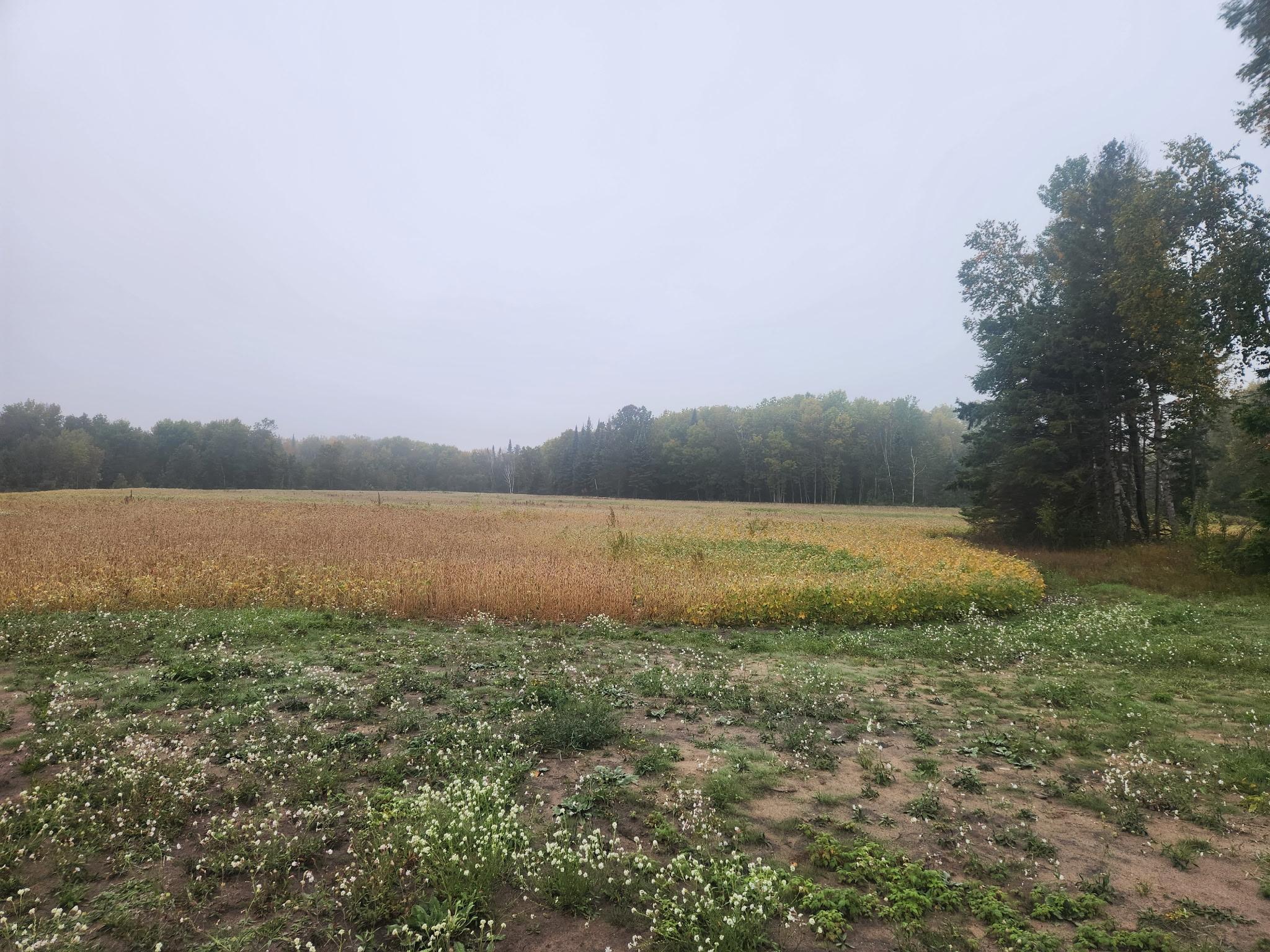 Homes for sale in Kelliher, MN | 26596 Fawn Ln Ne, Kelliher, MN 56650 | MLS# 6652416