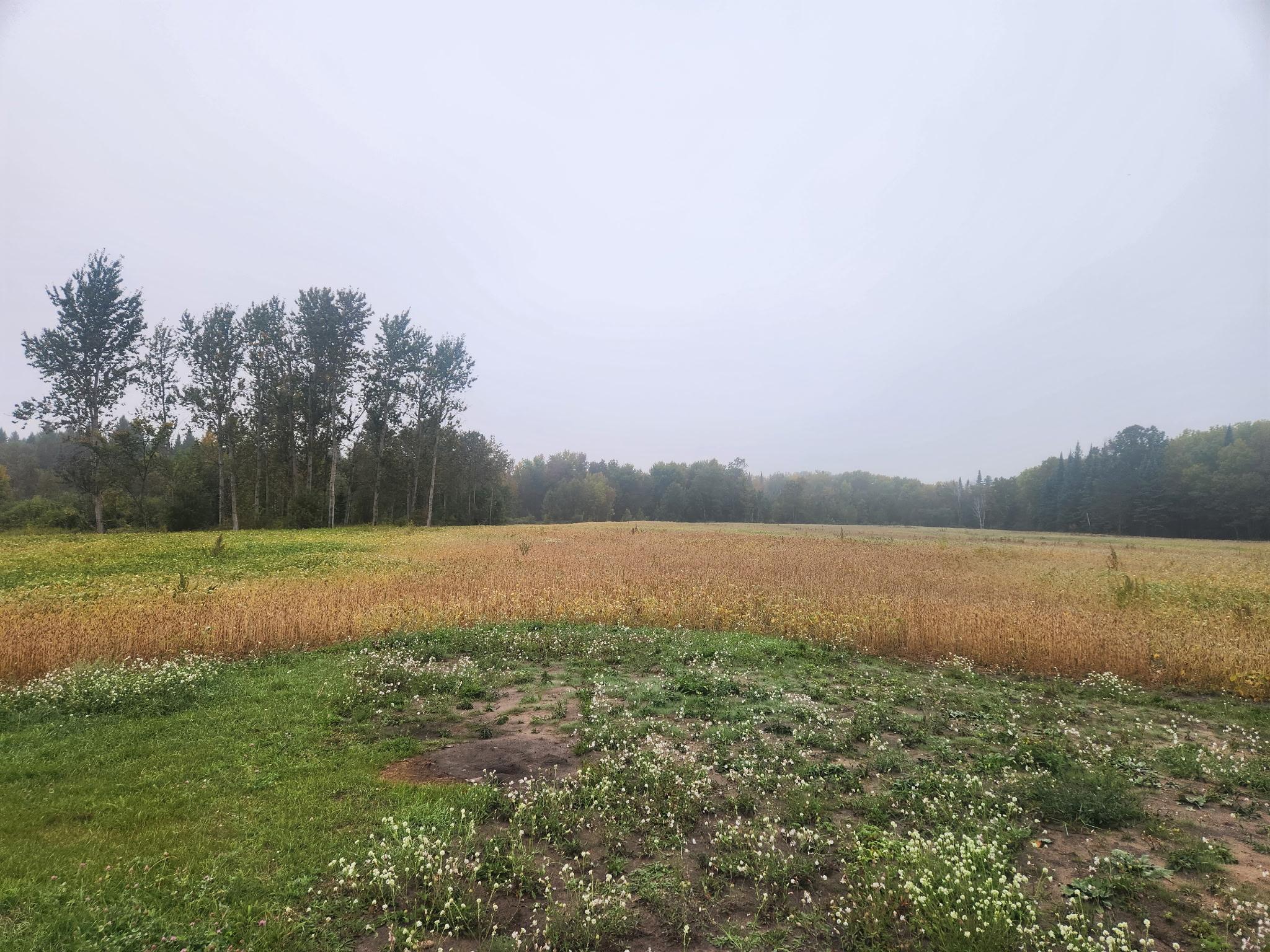 Homes for sale in Kelliher, MN | 26596 Fawn Ln Ne, Kelliher, MN 56650 | MLS# 6652416