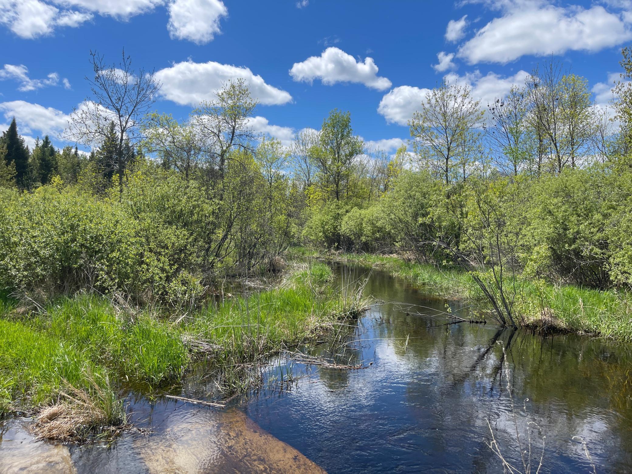 Homes for sale in Kelliher, MN | 26596 Fawn Ln Ne, Kelliher, MN 56650 | MLS# 6652416