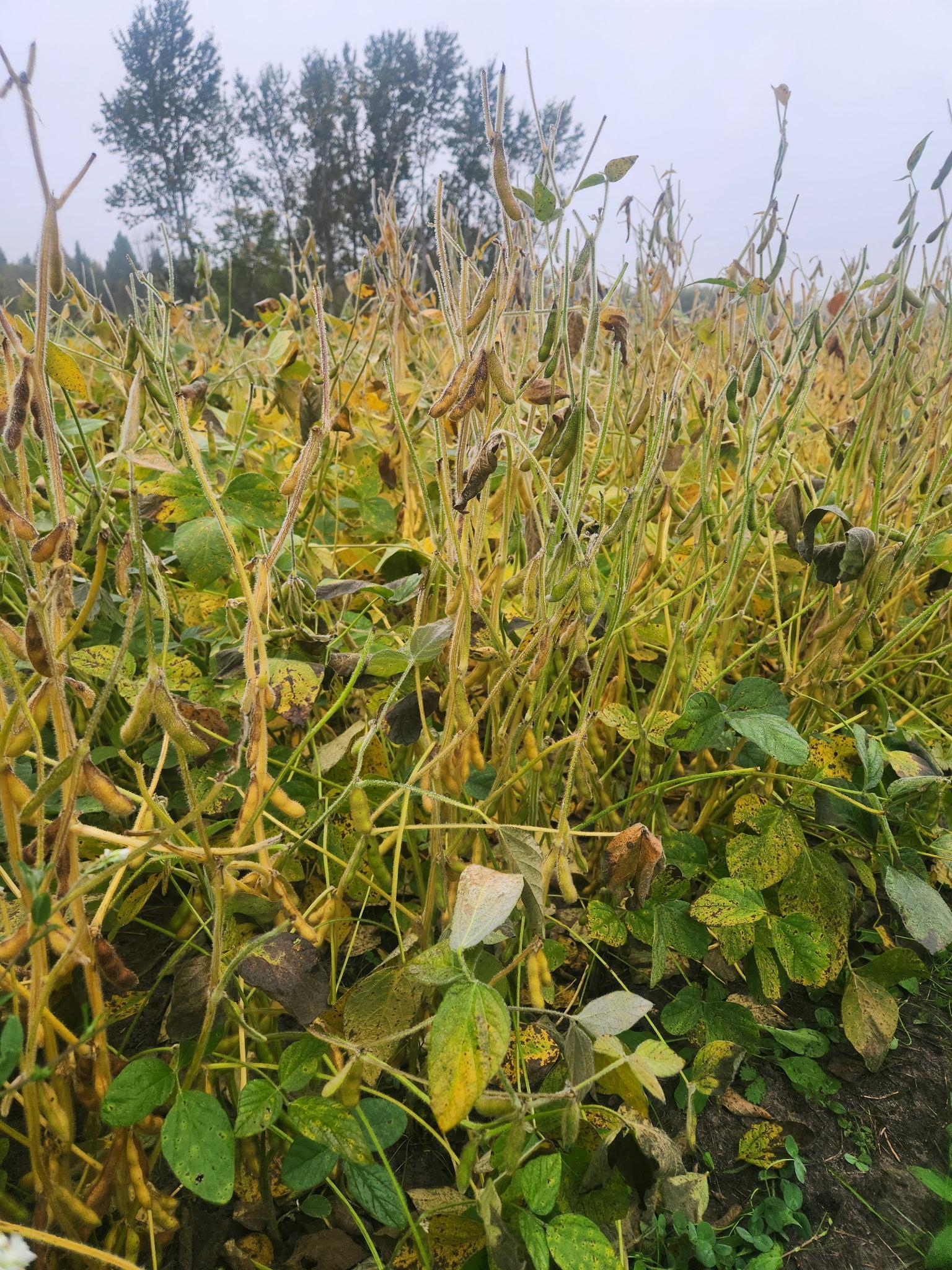 Homes for sale in Kelliher, MN | 26596 Fawn Ln Ne, Kelliher, MN 56650 | MLS# 6652416