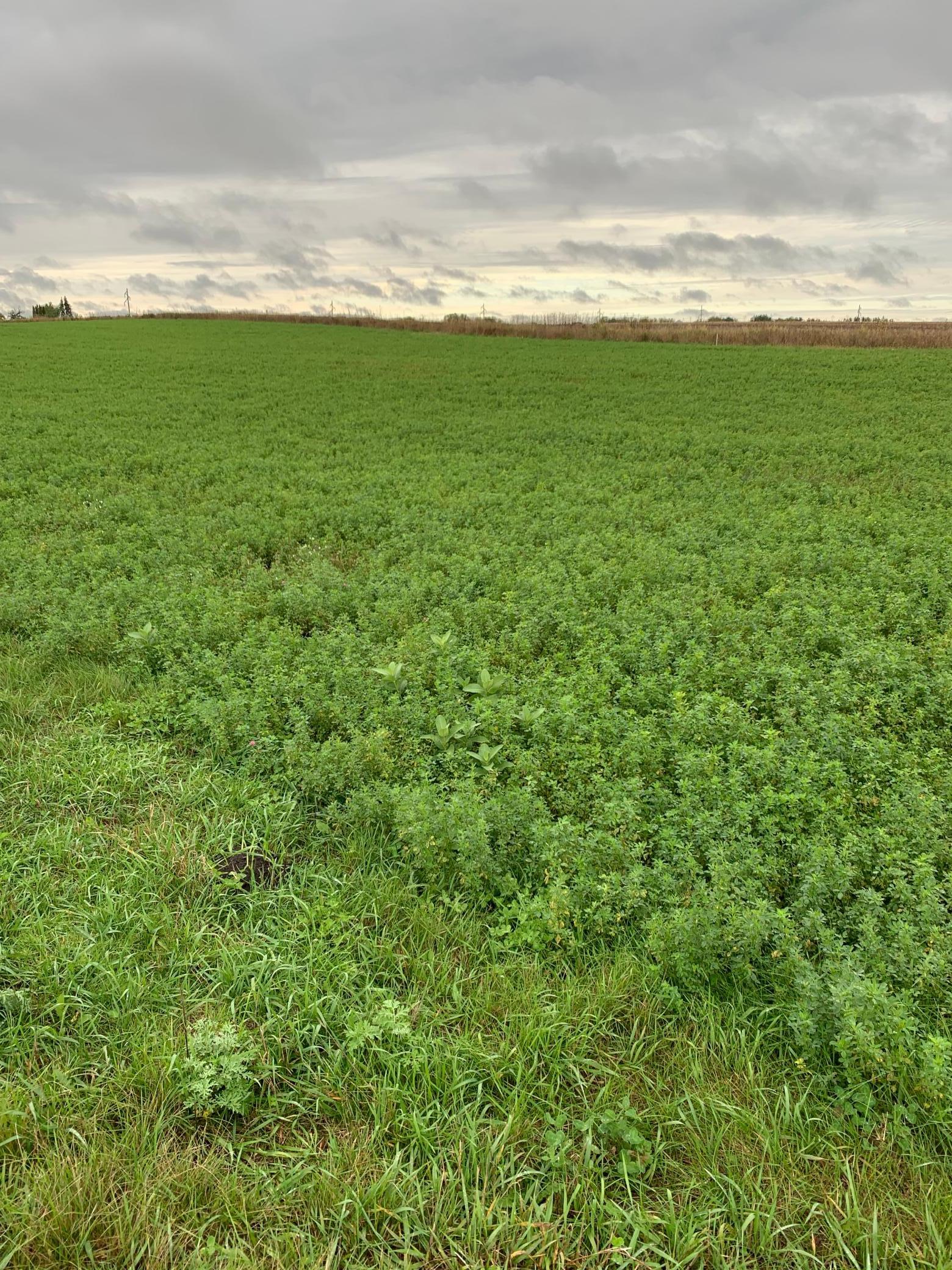 Homes for sale in Kimball, MN | 10630 Marty View Cir, Kimball, MN 55353 | MLS# 6654256