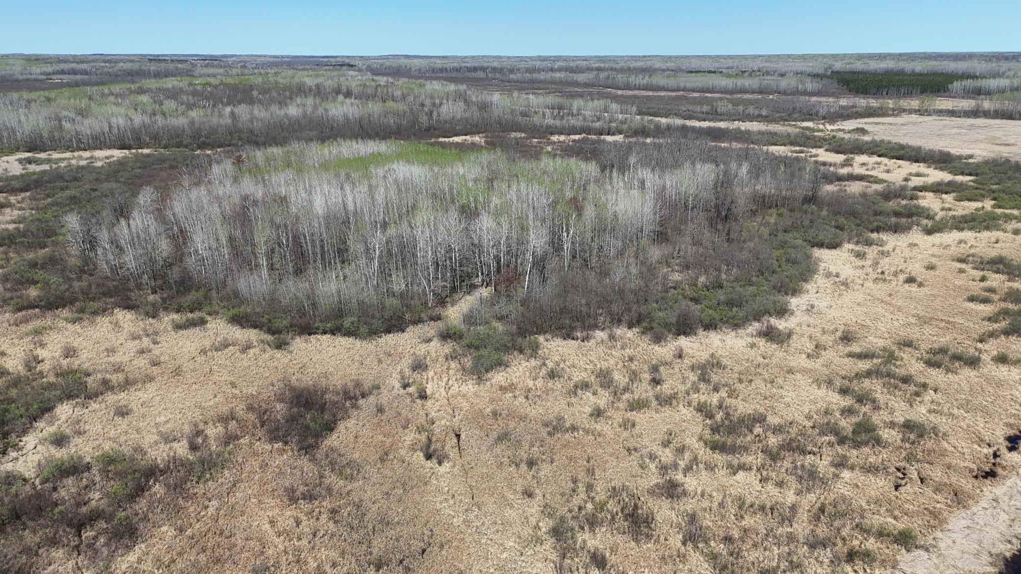 Homes for sale in Kettle River, MN | Tbd County Road 6, Kettle River, MN 55757 | MLS# 6657762