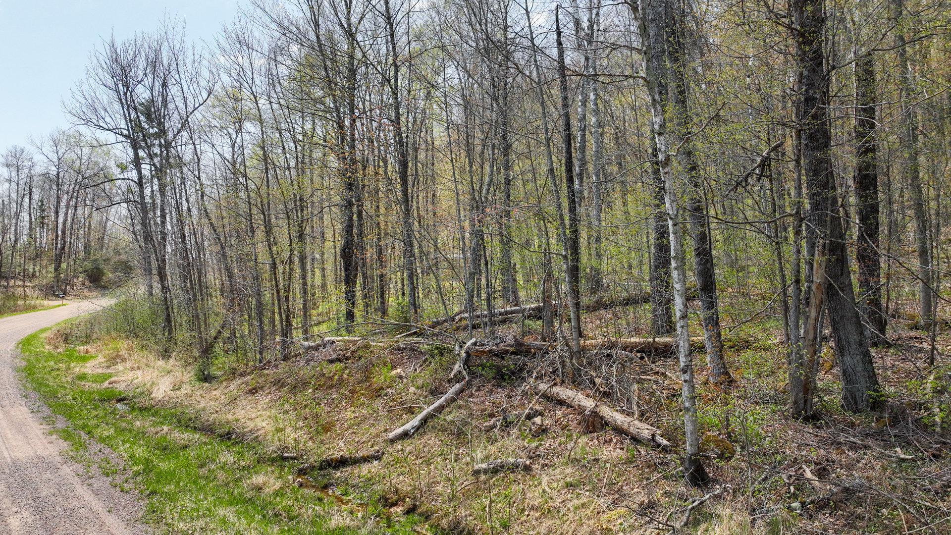 Homes for sale in Exeland, WI | 391 Acres Gueldner Ln N, Exeland, WI 54835 | MLS# 6657914