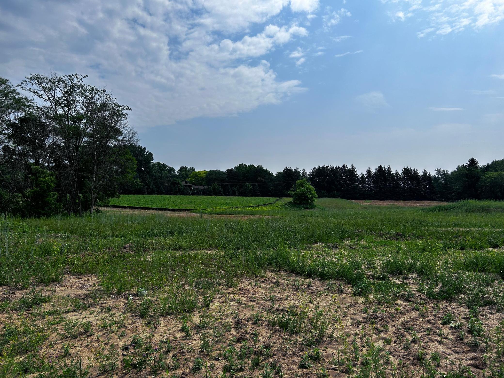 Homes for sale in Lake Elmo, MN | 11454 Blazingstar Ln, Lake Elmo, MN 55042 | MLS# 6672071