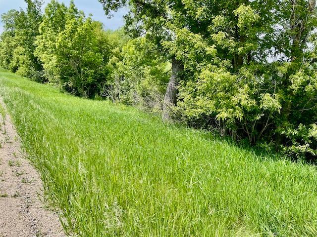 Homes for sale in Henning, MN | T134 R37 Sec30 / Hwy 67 Hwy 67, Henning, MN 56551 | MLS# 6687043