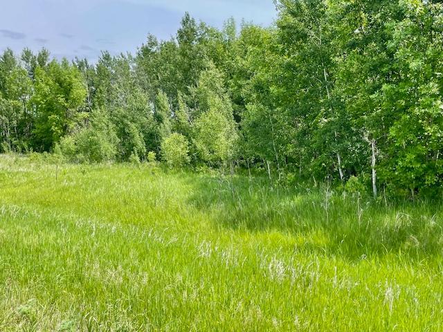 Homes for sale in Henning, MN | T134 R37 Sec30 / Hwy 67 Hwy 67, Henning, MN 56551 | MLS# 6687043