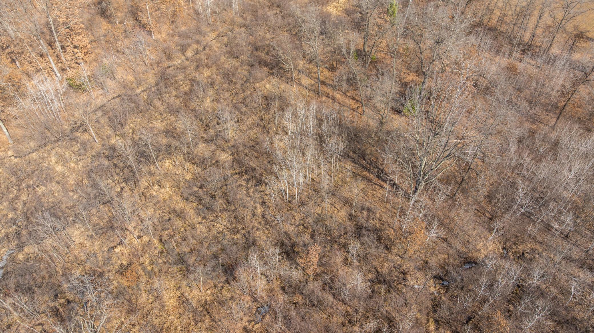 Homes for sale in Washburn Twp, WI | 000 Robin Ave, Washburn Twp, WI 54436 | MLS# 6687676