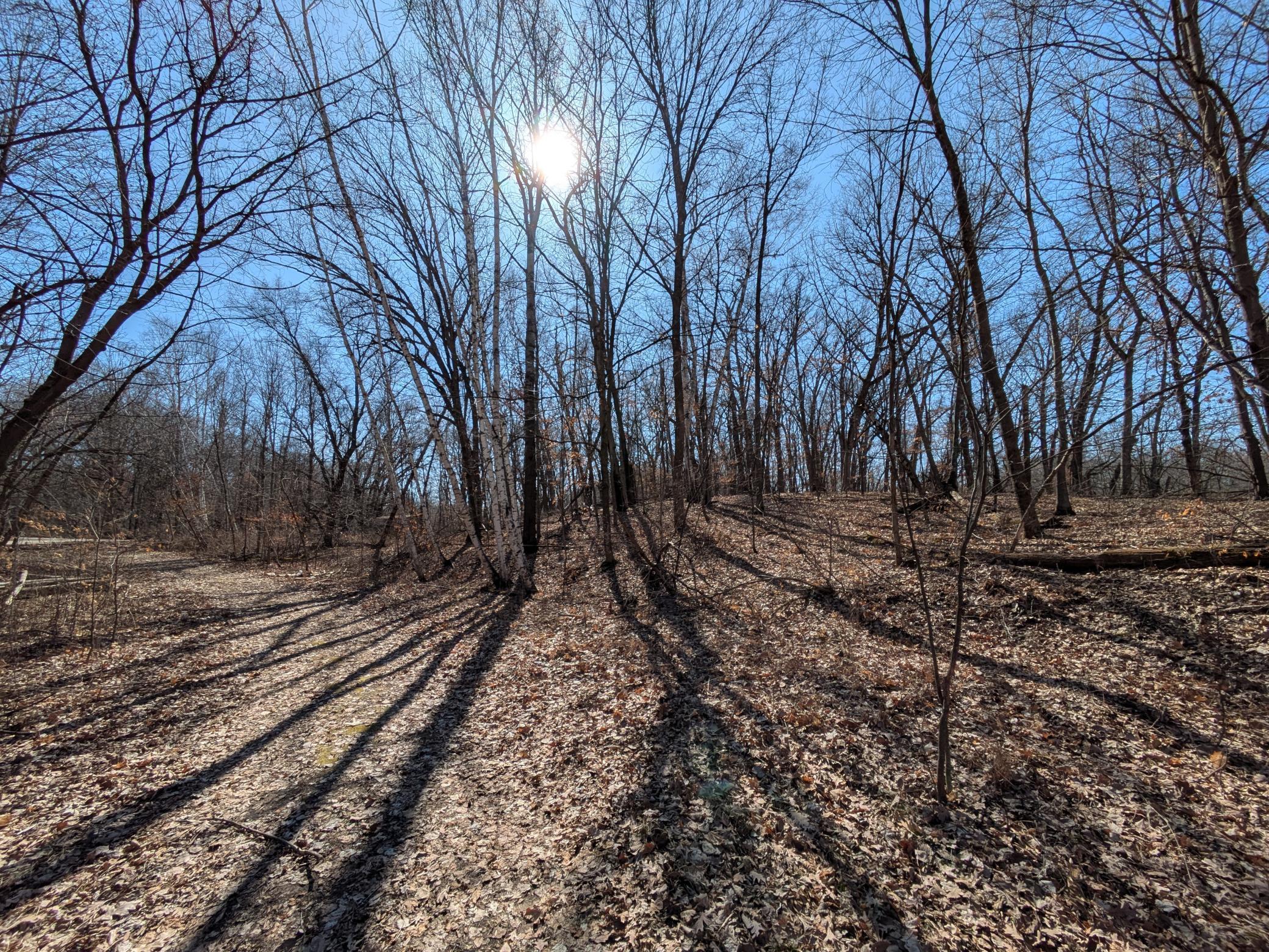 Homes for sale in St. Croix Falls, WI | Xxx Red Fox Trl, St. Croix Falls, WI 54024 | MLS# 6688234