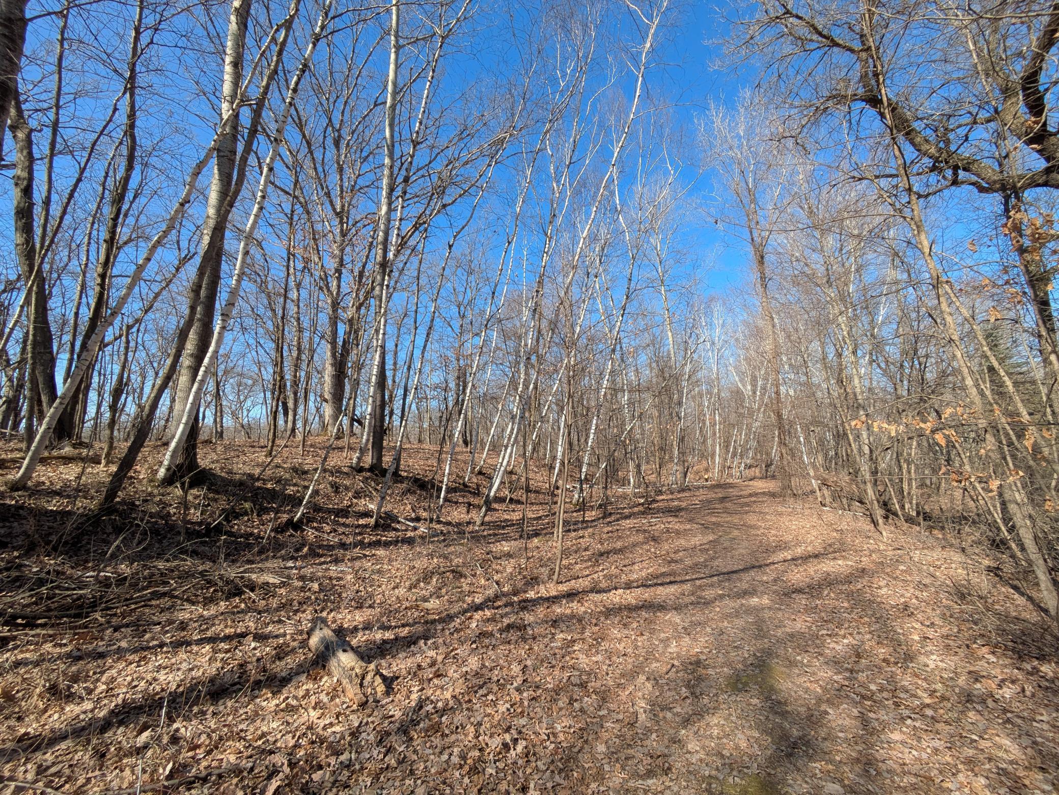 Homes for sale in St. Croix Falls, WI | Xxx Red Fox Trl, St. Croix Falls, WI 54024 | MLS# 6688234