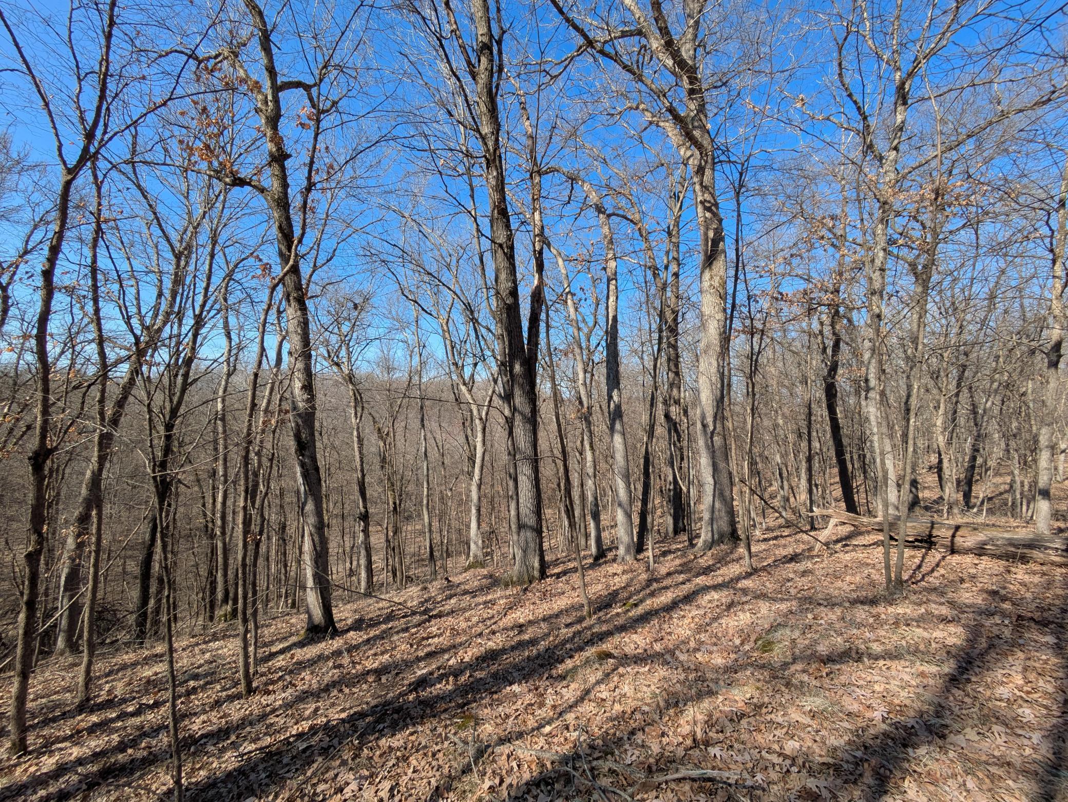 Homes for sale in St. Croix Falls, WI | Xxx Red Fox Trl, St. Croix Falls, WI 54024 | MLS# 6688234