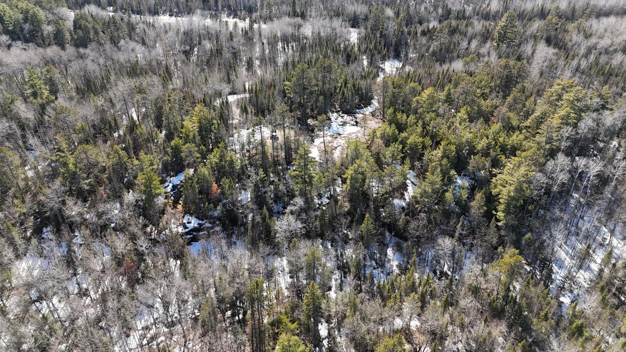 Homes for sale in Crane Lake, MN | 7316 Crane Lake Rd, Crane Lake, MN 55725 | MLS# 6705324