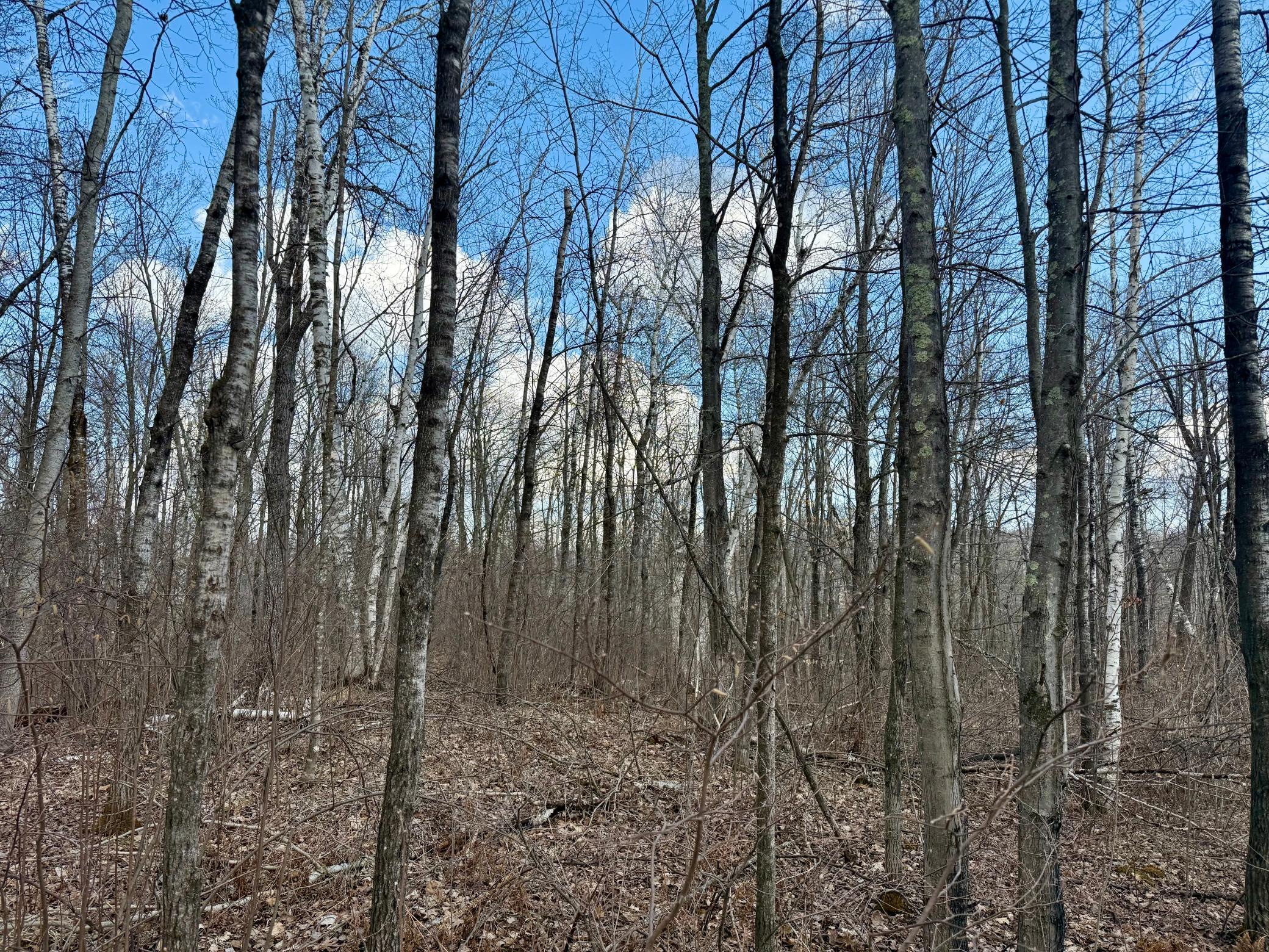 Homes for sale in Bruno Twp, MN | 1Xx Estates Road, Bruno Twp, MN 55756 | MLS# 6706862