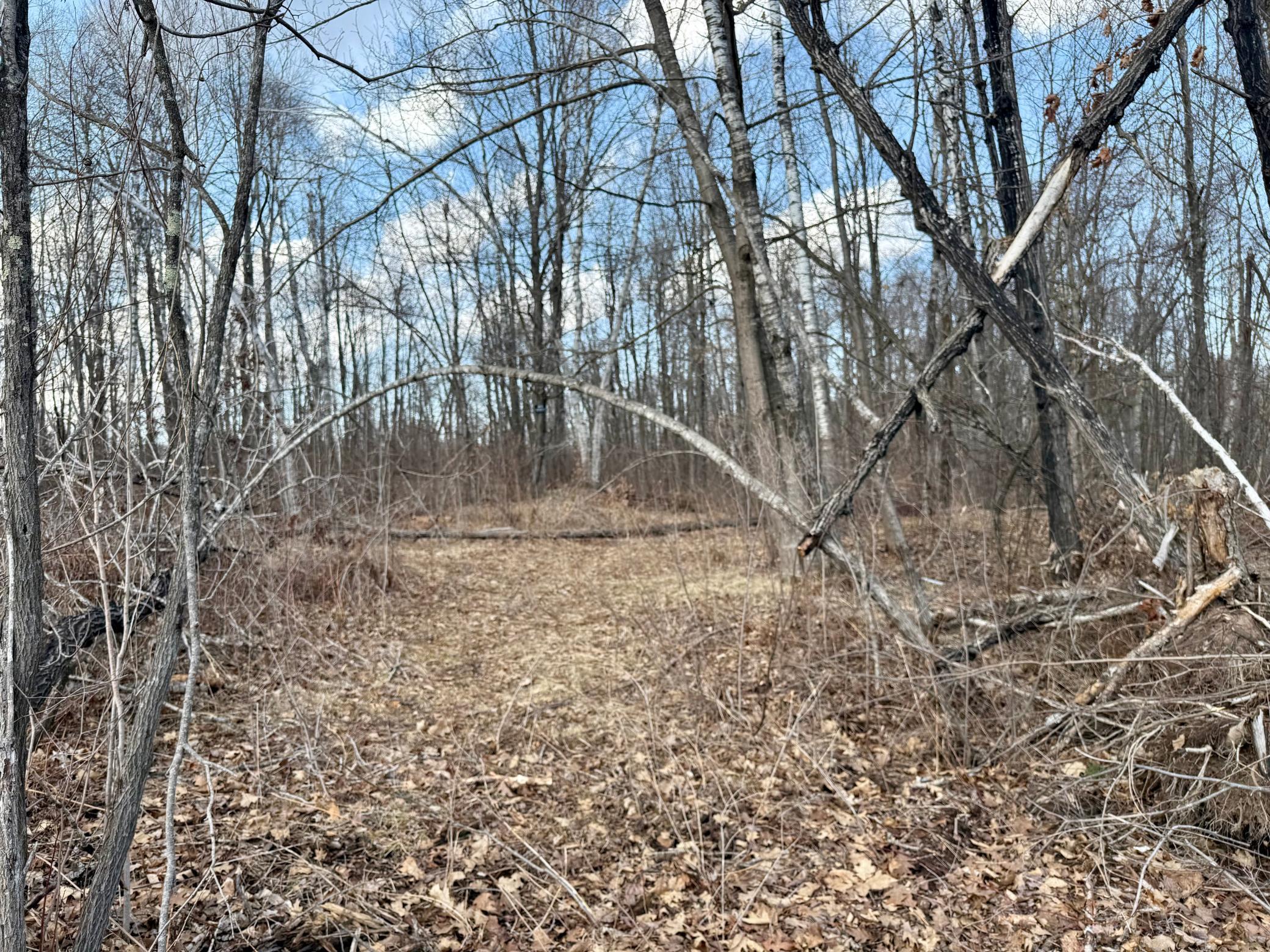 Homes for sale in Bruno Twp, MN | 1Xx Estates Road, Bruno Twp, MN 55756 | MLS# 6706862