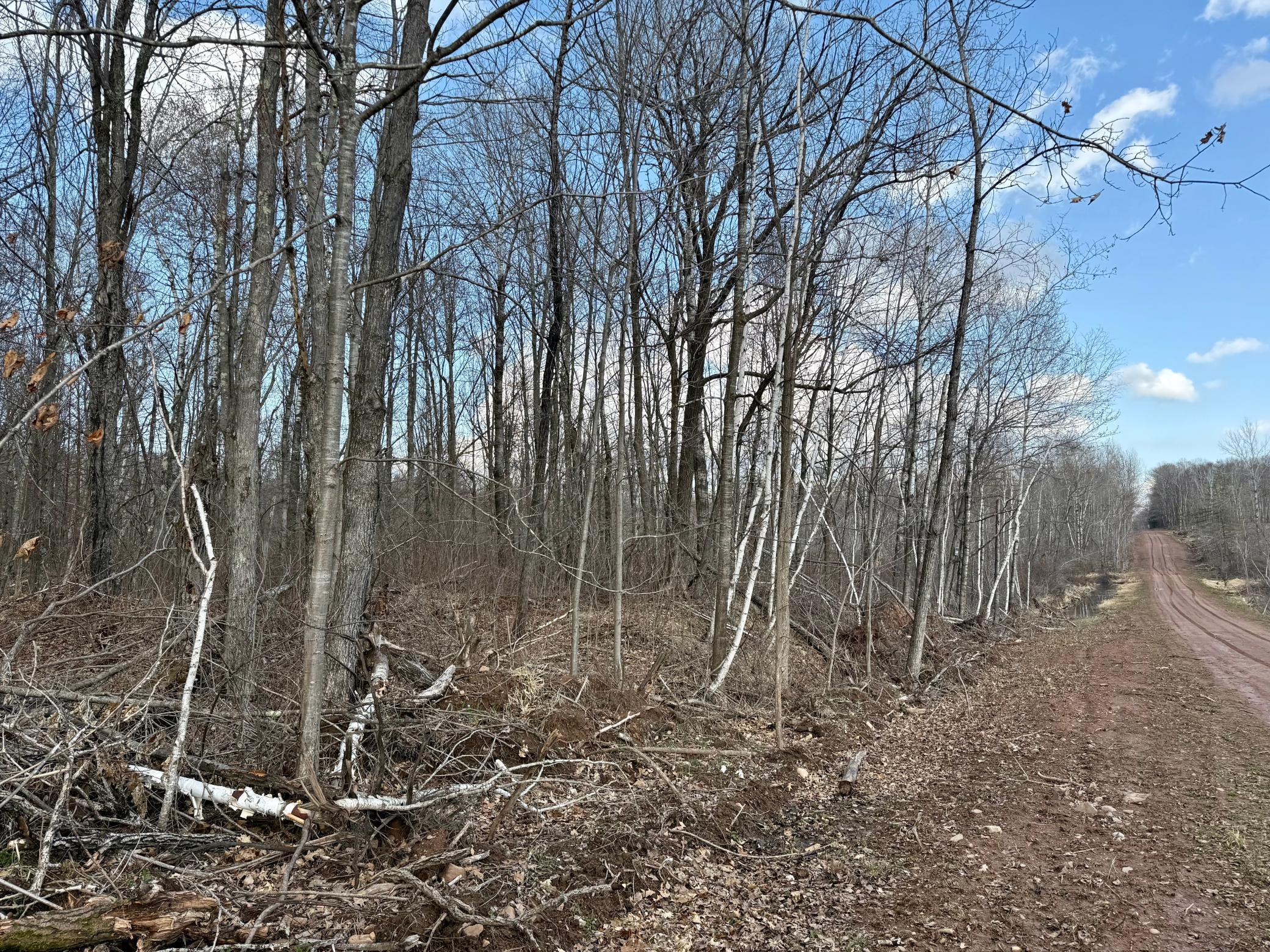 Homes for sale in Bruno Twp, MN | 1Xx Estates Road, Bruno Twp, MN 55756 | MLS# 6706862