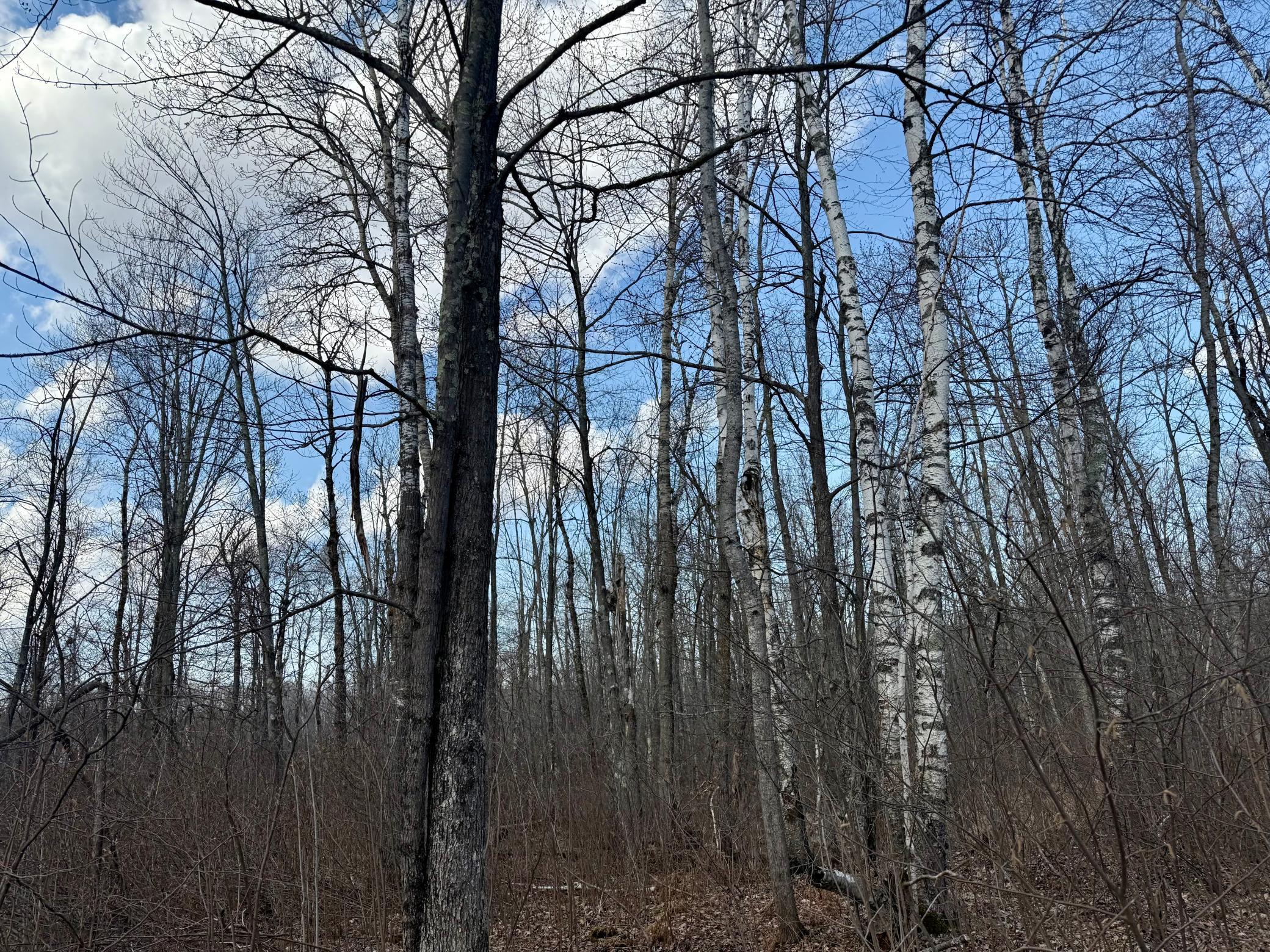 Homes for sale in Bruno Twp, MN | 1Xx Estates Road, Bruno Twp, MN 55756 | MLS# 6706862