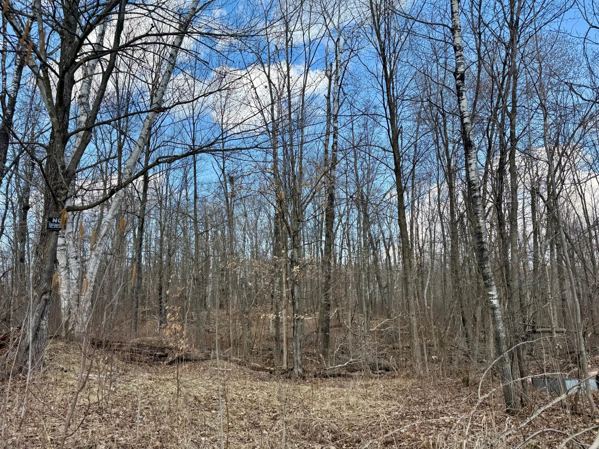 Homes for sale in Bruno Twp, MN | 1Xx Estates Road, Bruno Twp, MN 55756 | MLS# 6706862