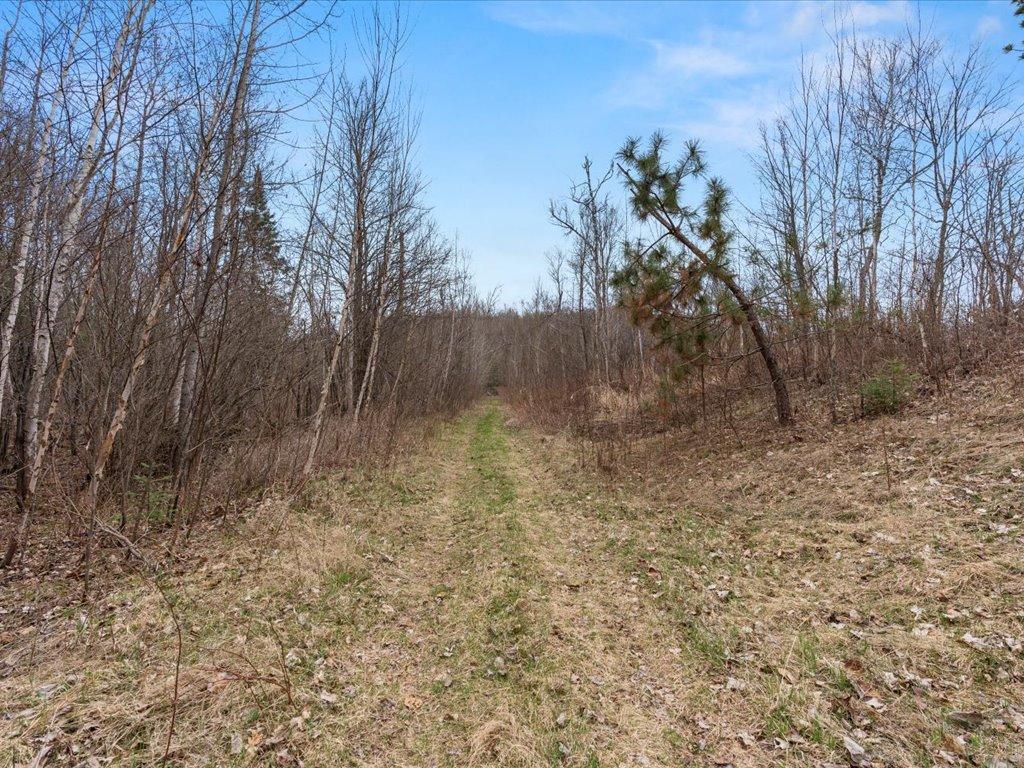 Homes for sale in Jacobson, MN | Tbd 640th Ln, Jacobson, MN 55752 | MLS# 6708780