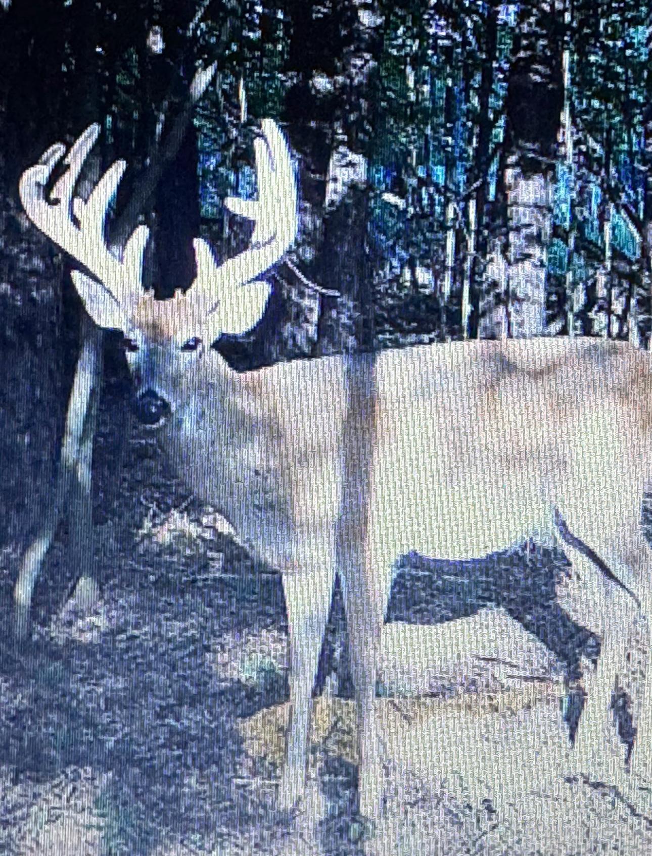 Homes for sale in East Bethel, MN | Tbd Palisade St Ne, East Bethel, MN 55011 | MLS# 6713055