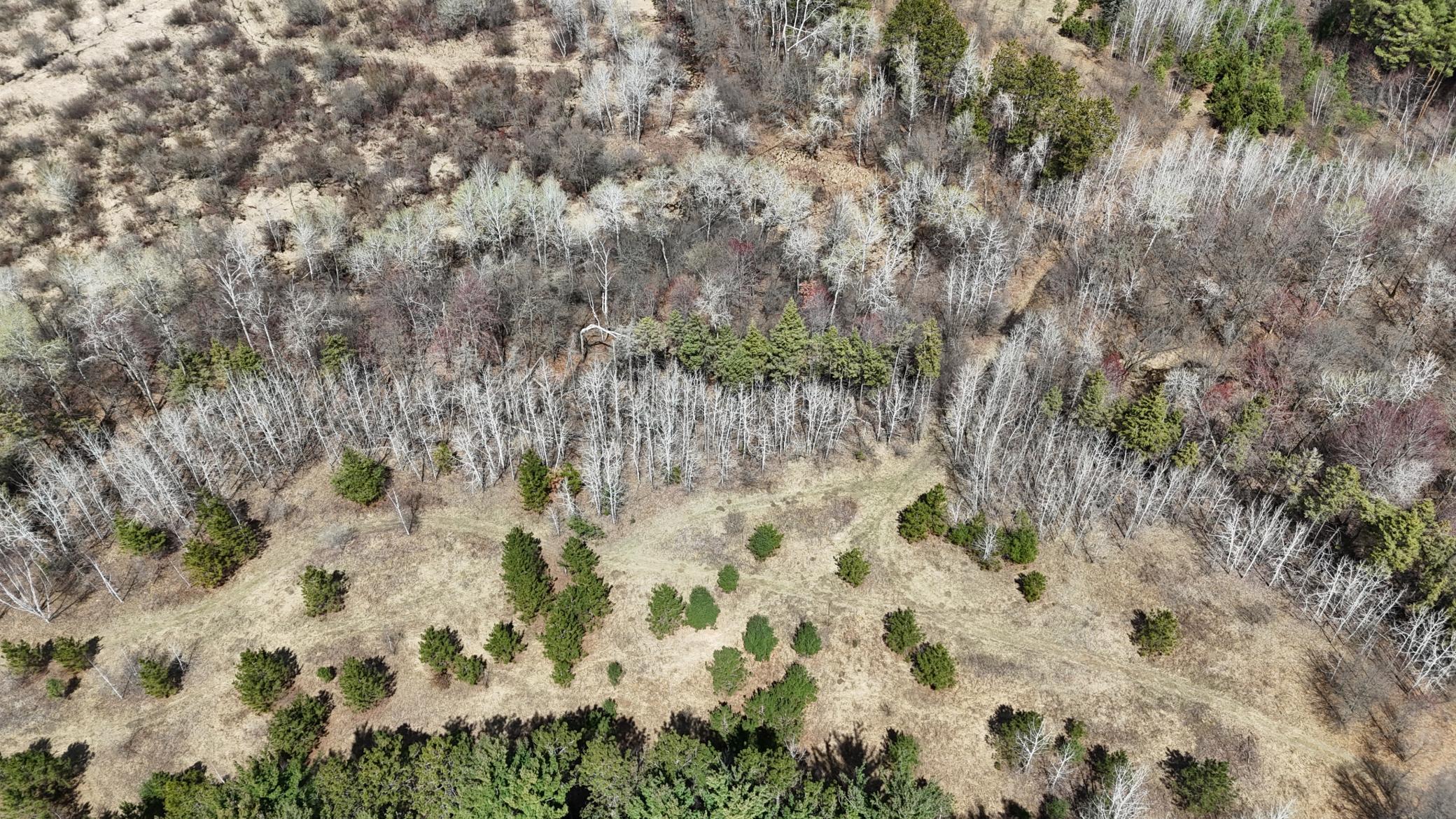 Homes for sale in East Bethel, MN | Tbd Palisade St Ne, East Bethel, MN 55011 | MLS# 6713055