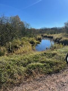 Homes for sale in Grand Lake Twp, MN | 0000 Wick Rd, Grand Lake Twp, MN 55779 | MLS# 6715027