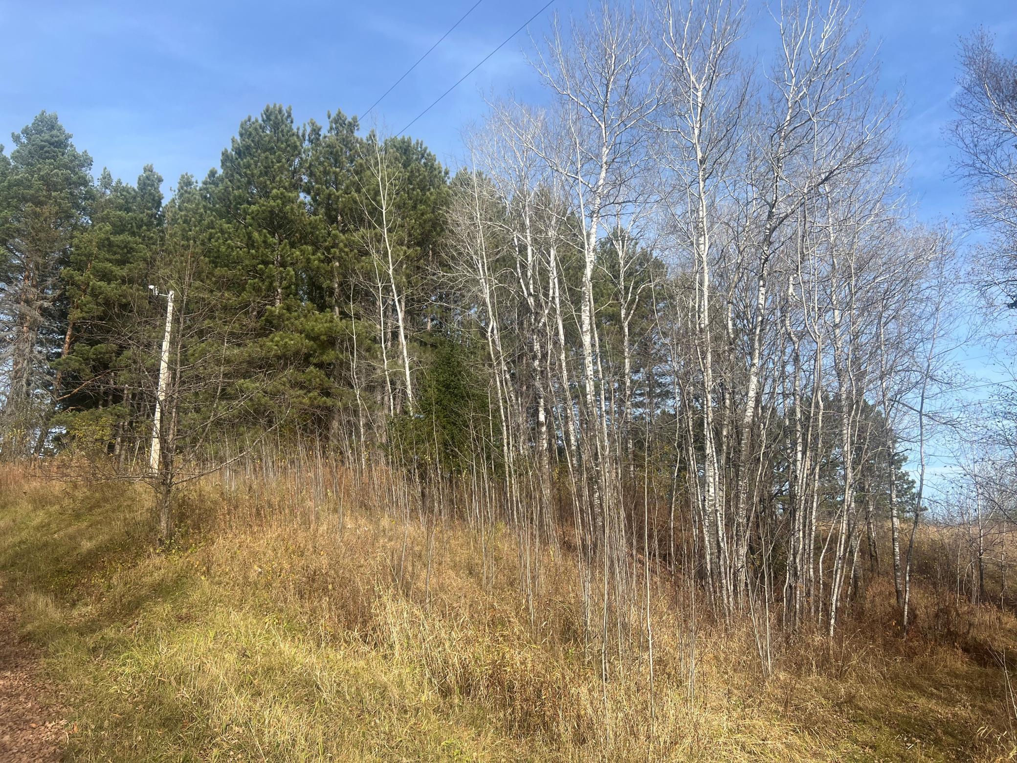 Homes for sale in Grand Lake Twp, MN | 0000 Wick Rd, Grand Lake Twp, MN 55779 | MLS# 6715027