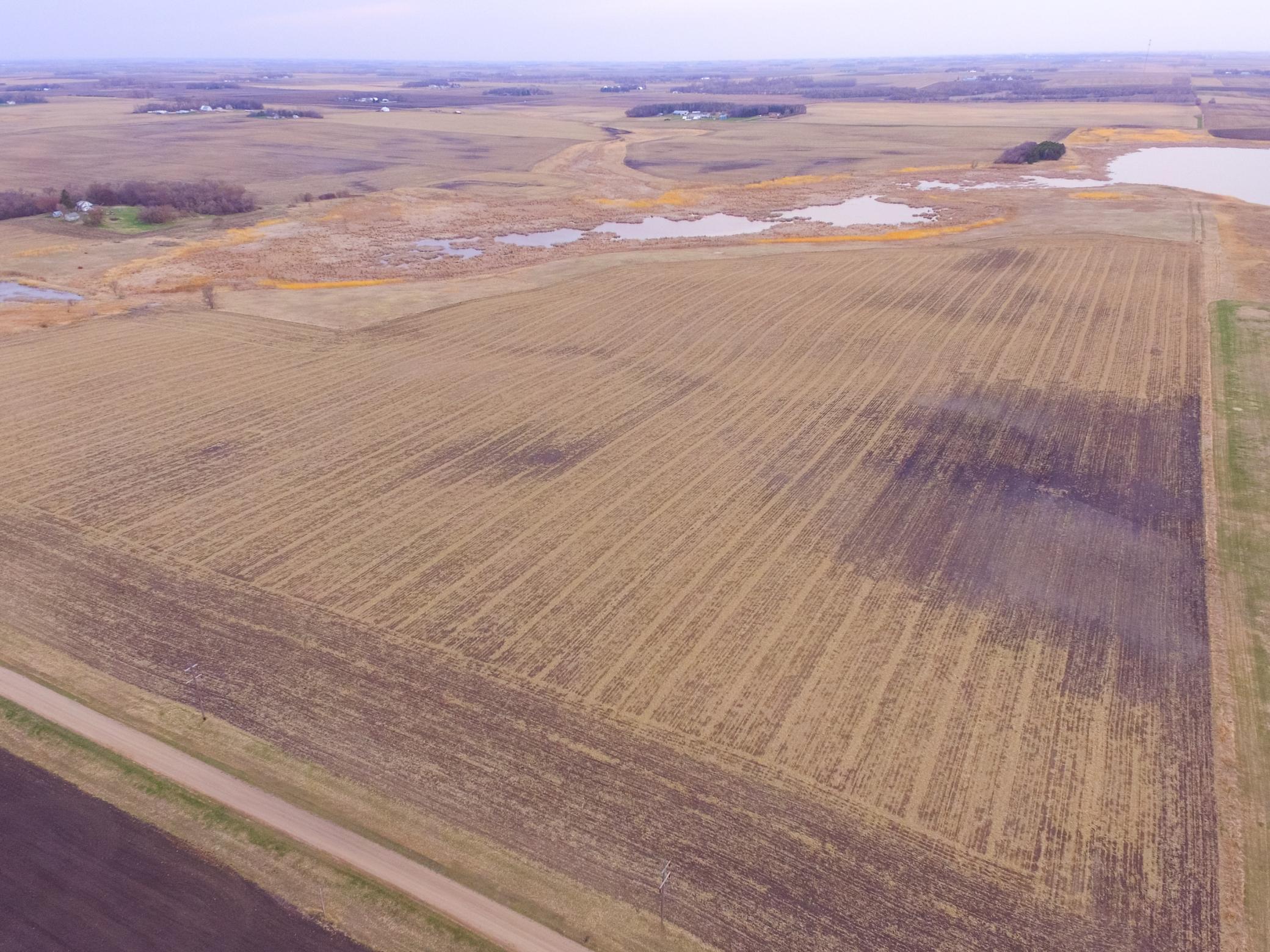 Homes for sale in Hamlin Twp, MN | Tbd 170Th St, Hamlin Twp, MN 56256 | MLS# 6719446