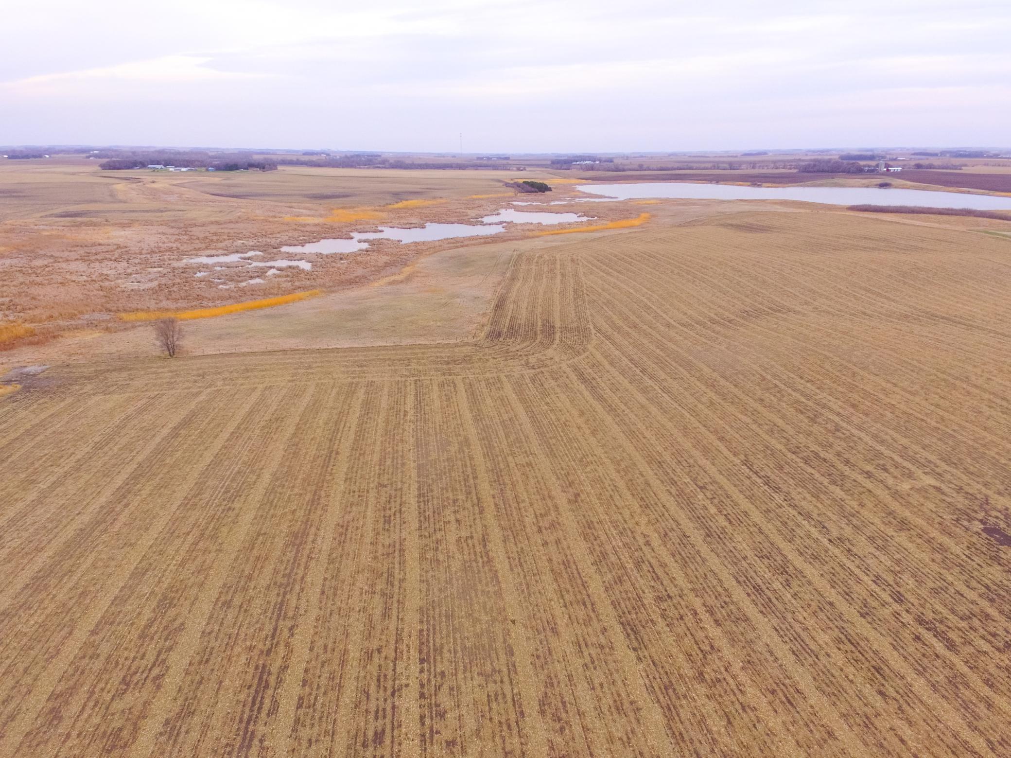 Homes for sale in Hamlin Twp, MN | Tbd 170Th St, Hamlin Twp, MN 56256 | MLS# 6719446