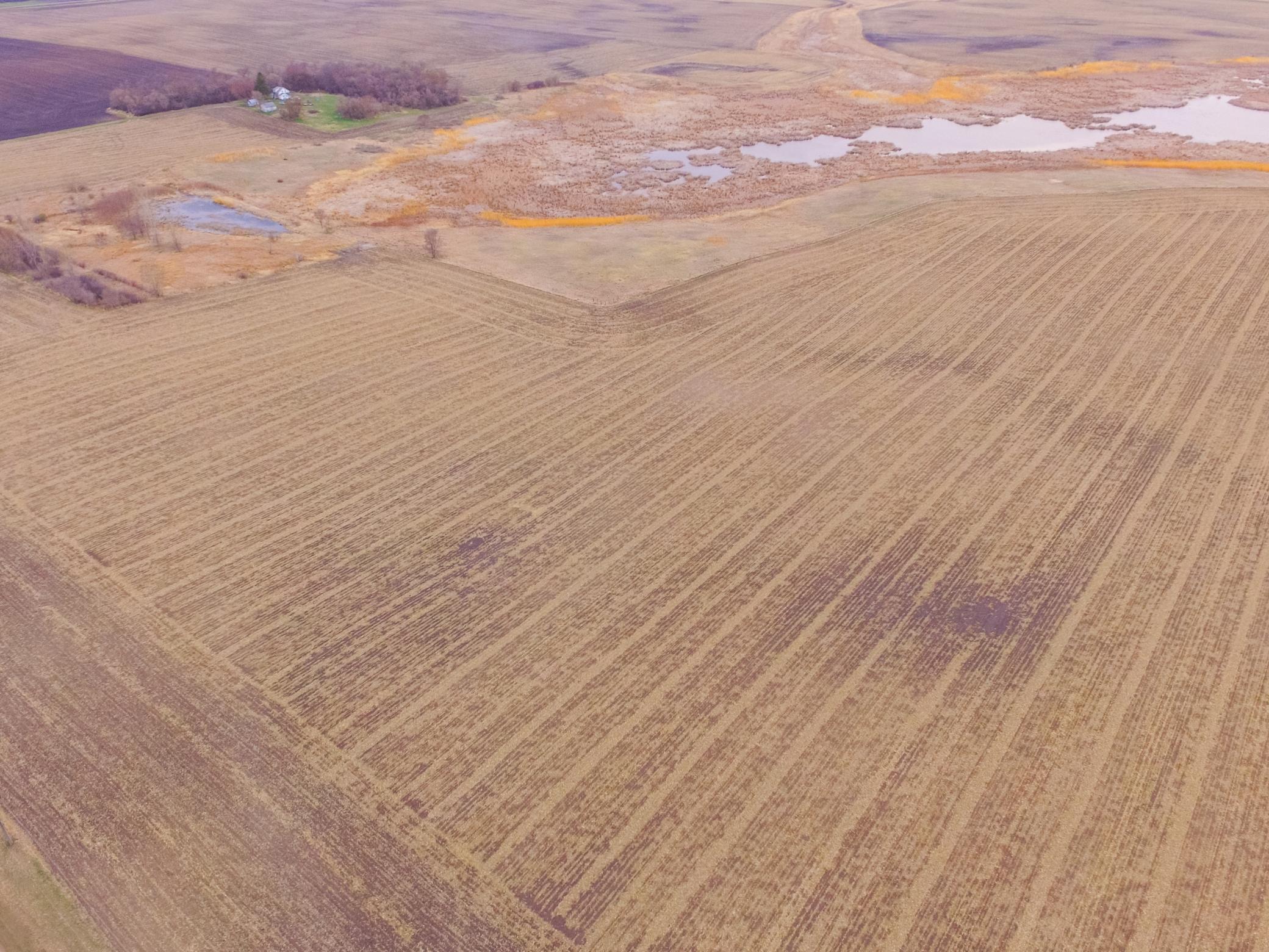 Homes for sale in Hamlin Twp, MN | Tbd 170th St, Hamlin Twp, MN 56256 | MLS# 6719446