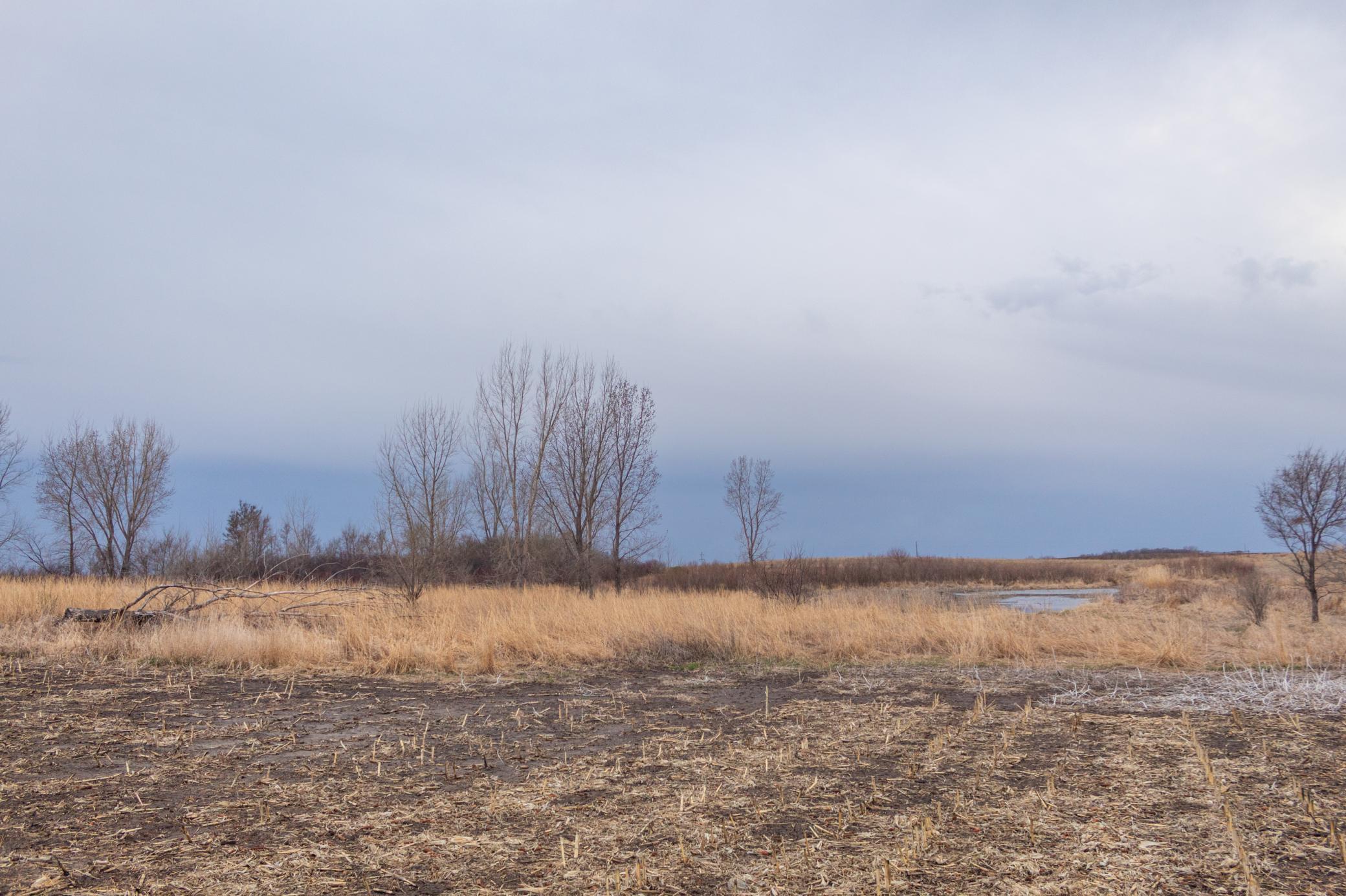 Homes for sale in Hamlin Twp, MN | Tbd 170th St, Hamlin Twp, MN 56256 | MLS# 6719446