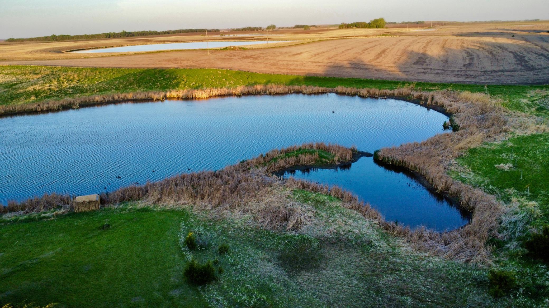 Homes for sale in Webster, SD | 13739 429Th Ave, Webster, SD 57274 | MLS# 6721187