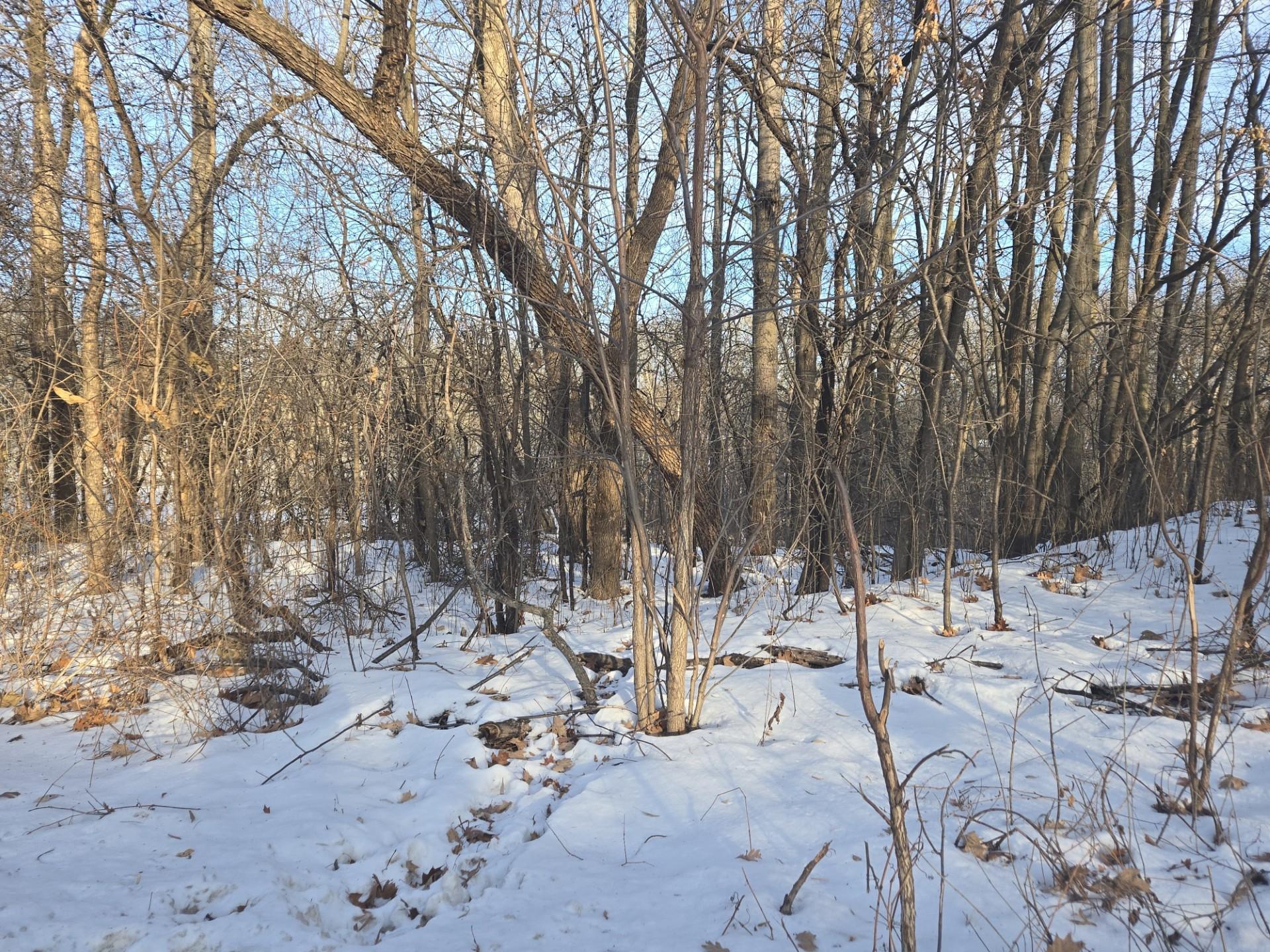 Homes for sale in Forest Lake, MN | 9492 N Shore Trl N, Forest Lake, MN 55025 | MLS# 6728555