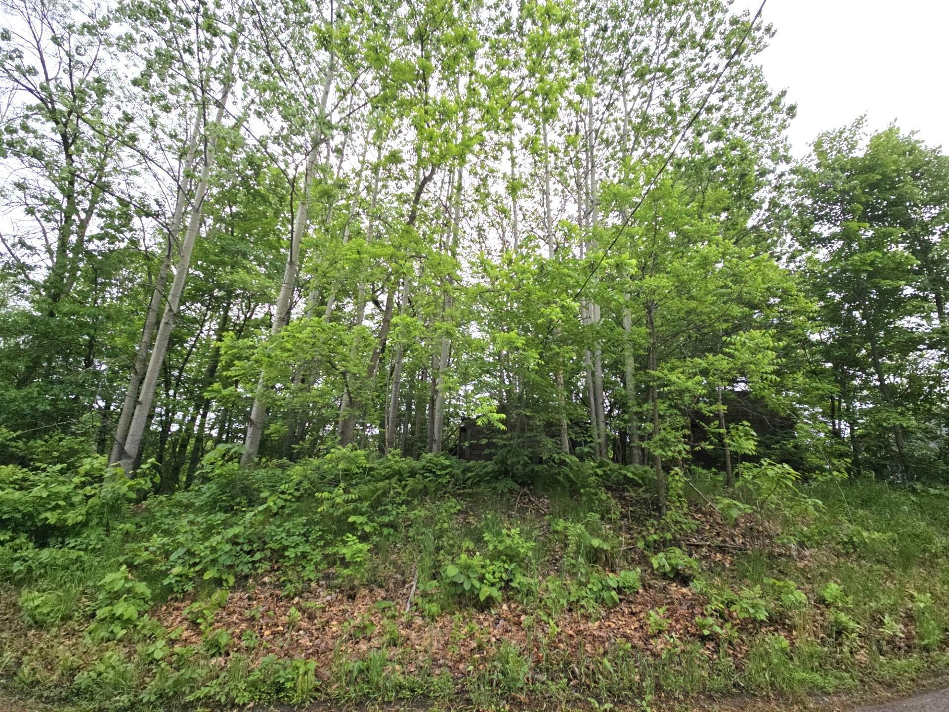 Homes for sale in Forest Lake, MN | 9492 N Shore Trl N, Forest Lake, MN 55025 | MLS# 6728555