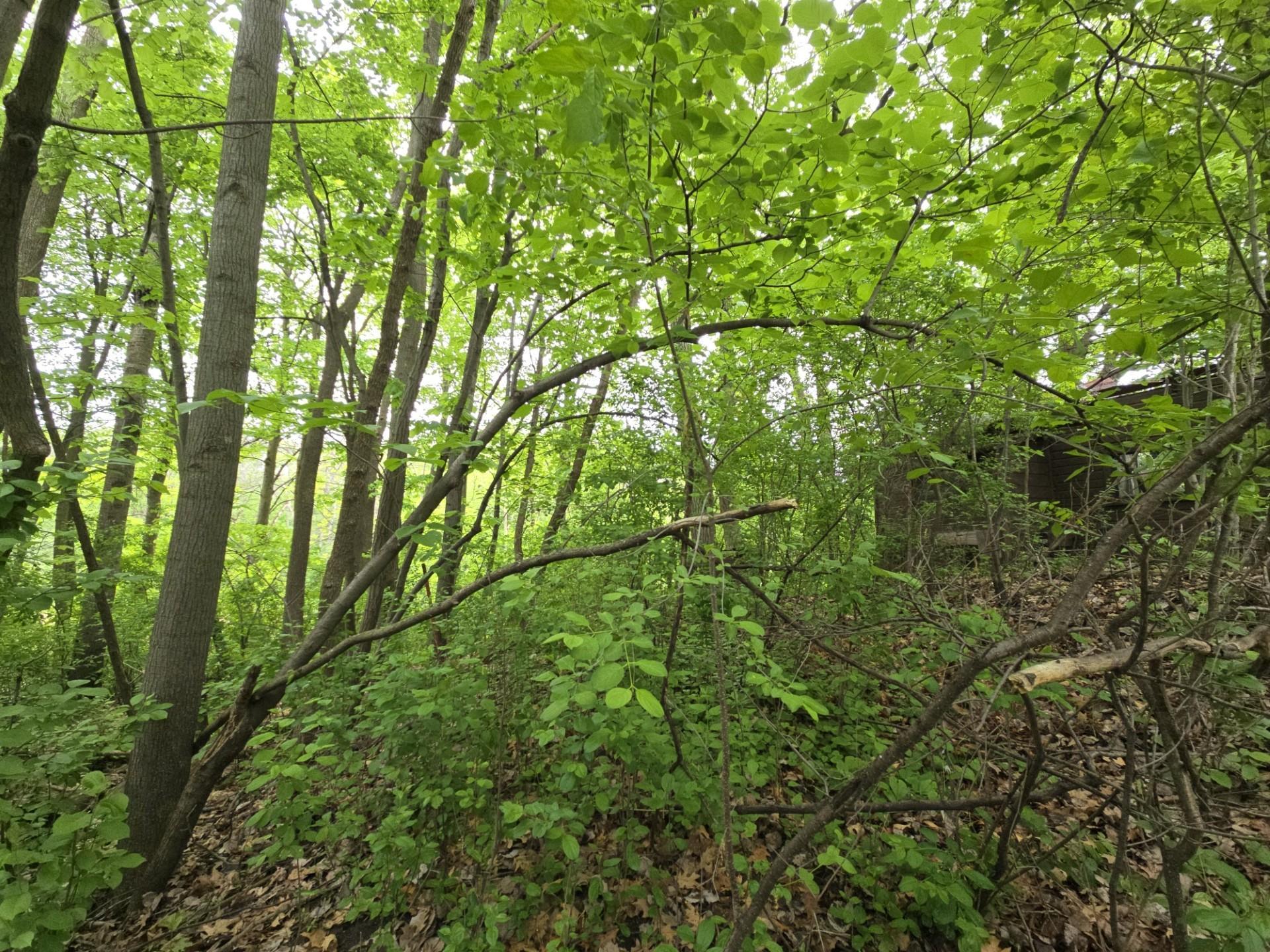 Homes for sale in Forest Lake, MN | 9492 N Shore Trl N, Forest Lake, MN 55025 | MLS# 6728555