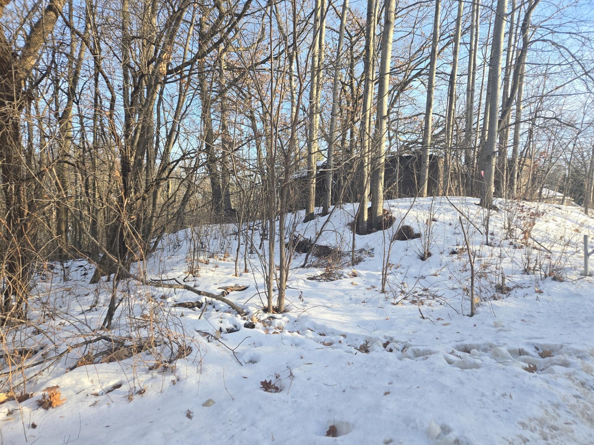 Homes for sale in Forest Lake, MN | 9492 N Shore Trl N, Forest Lake, MN 55025 | MLS# 6728555