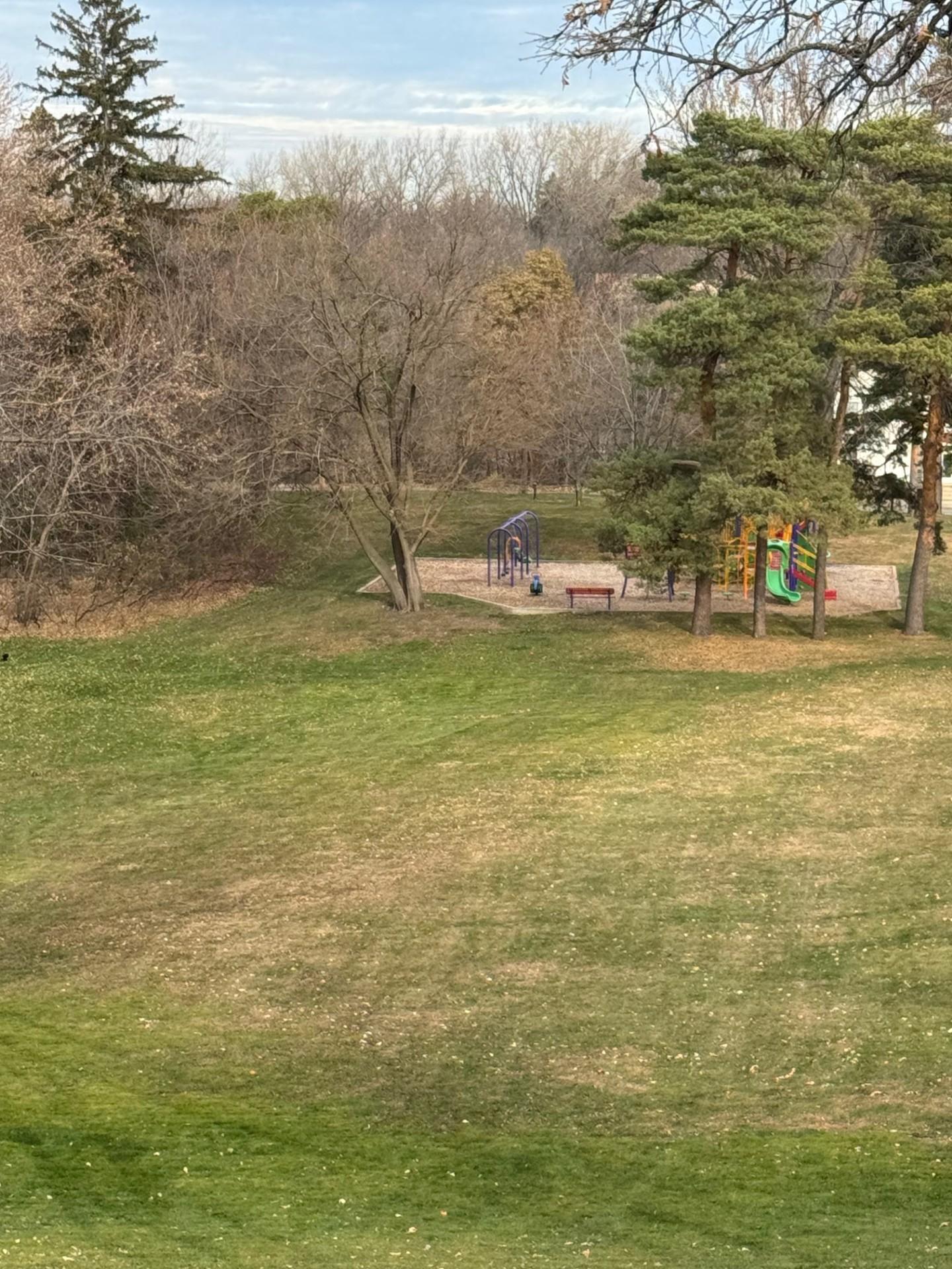 Homes for sale in Hopkins, MN | 301 19th Ave N, Hopkins, MN 55343 | MLS# 6729246