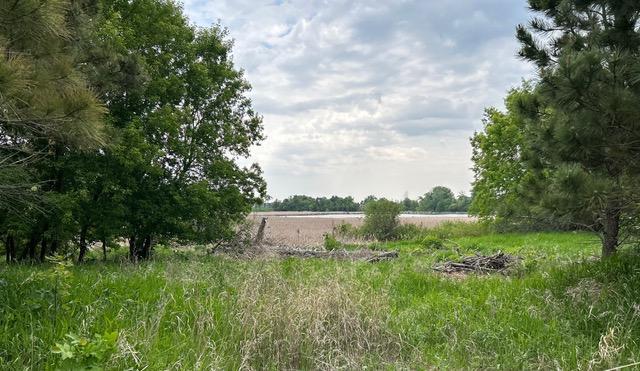 Homes for sale in Glenwood, MN | Tbd Hwy 28/29, Glenwood, MN 56334 | MLS# 6734442