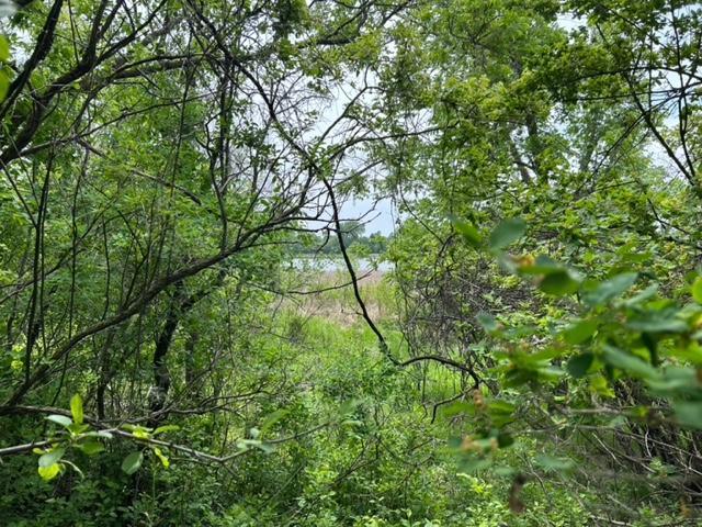 Homes for sale in Glenwood, MN | Tbd Hwy 28/29, Glenwood, MN 56334 | MLS# 6734442