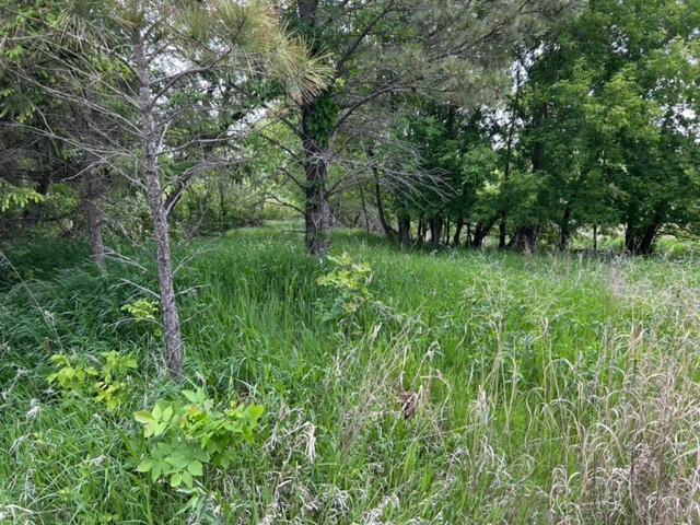 Homes for sale in Glenwood, MN | Tbd Hwy 28/29, Glenwood, MN 56334 | MLS# 6734442