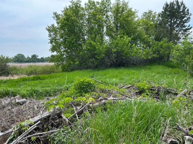 Homes for sale in Glenwood, MN | Tbd Hwy 28/29, Glenwood, MN 56334 | MLS# 6734442