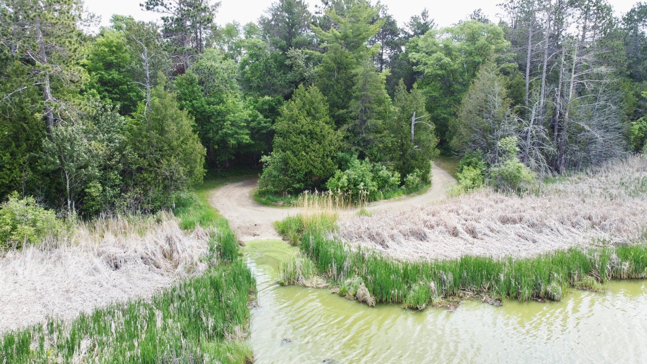 Homes for sale in Grand Rapids, MN | Tbd Little Cowhorn Public Access Rd, Grand Rapids, MN 55744 | MLS# 6734585