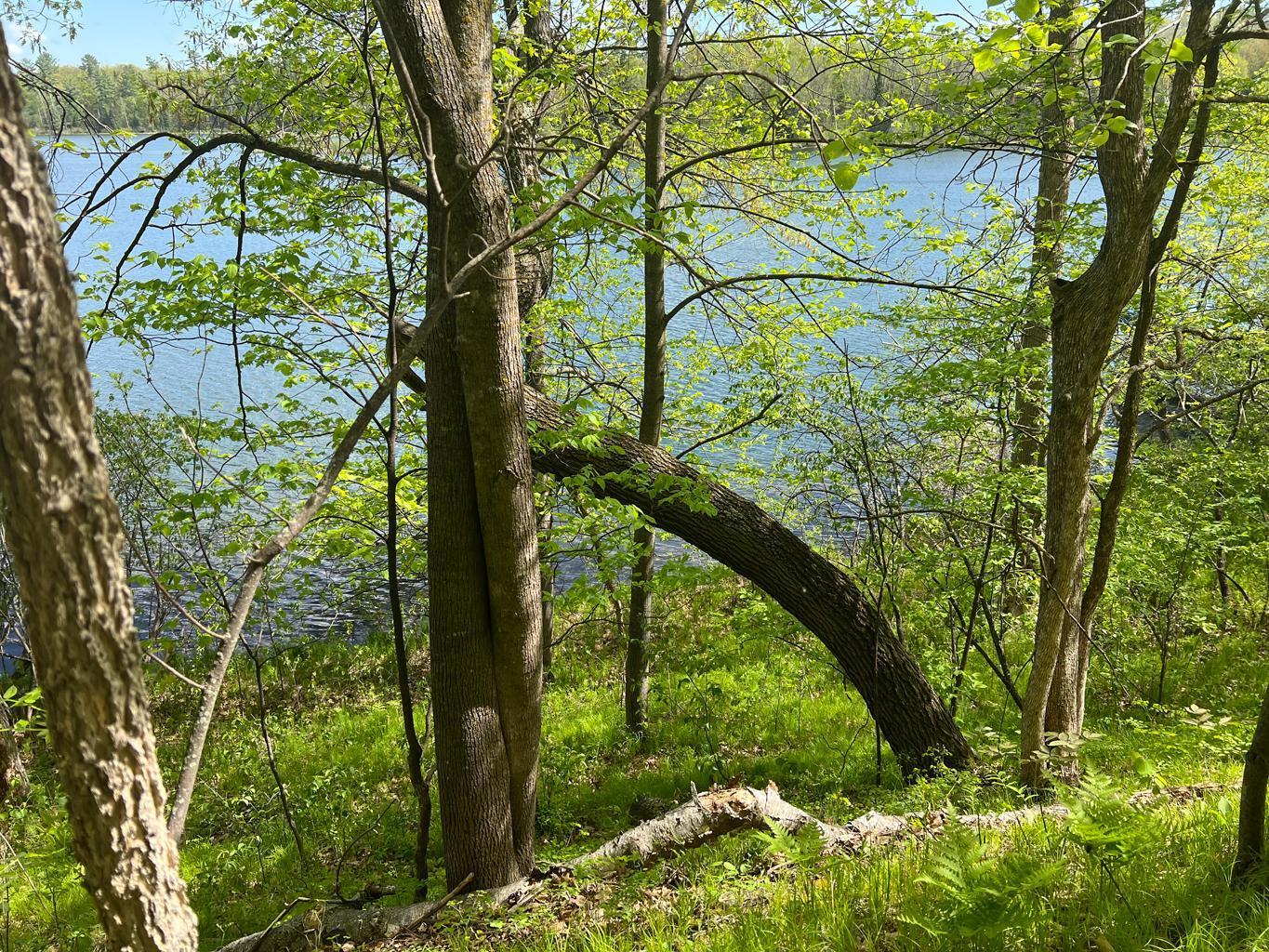 Homes for sale in Outing, MN | 5585 Woods Bay Dr Ne, Outing, MN 56662 | MLS# 6739638