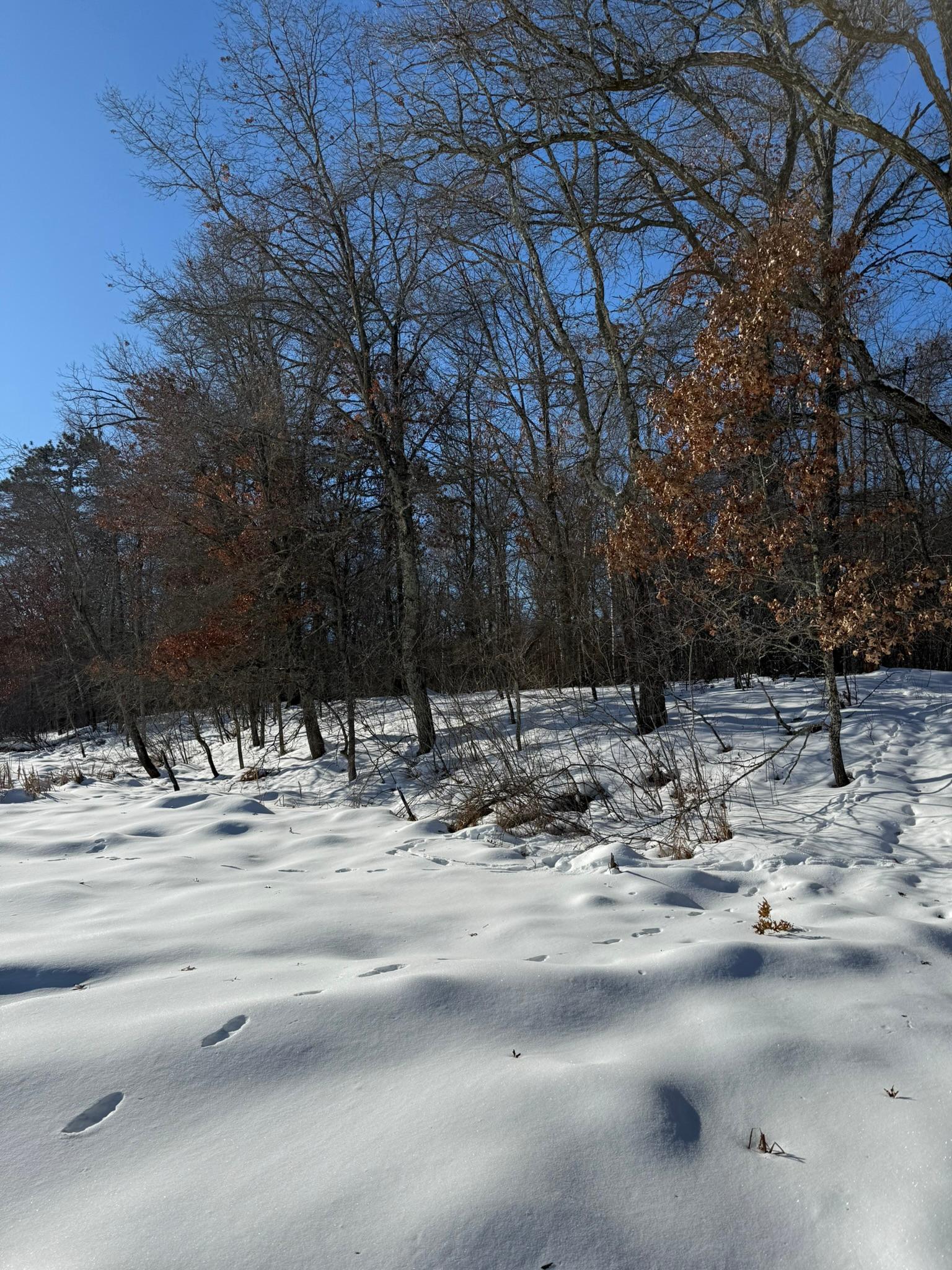 Homes for sale in Siren, WI | Xxx Saylors Ln, Siren, WI 54872 | MLS# 6742556